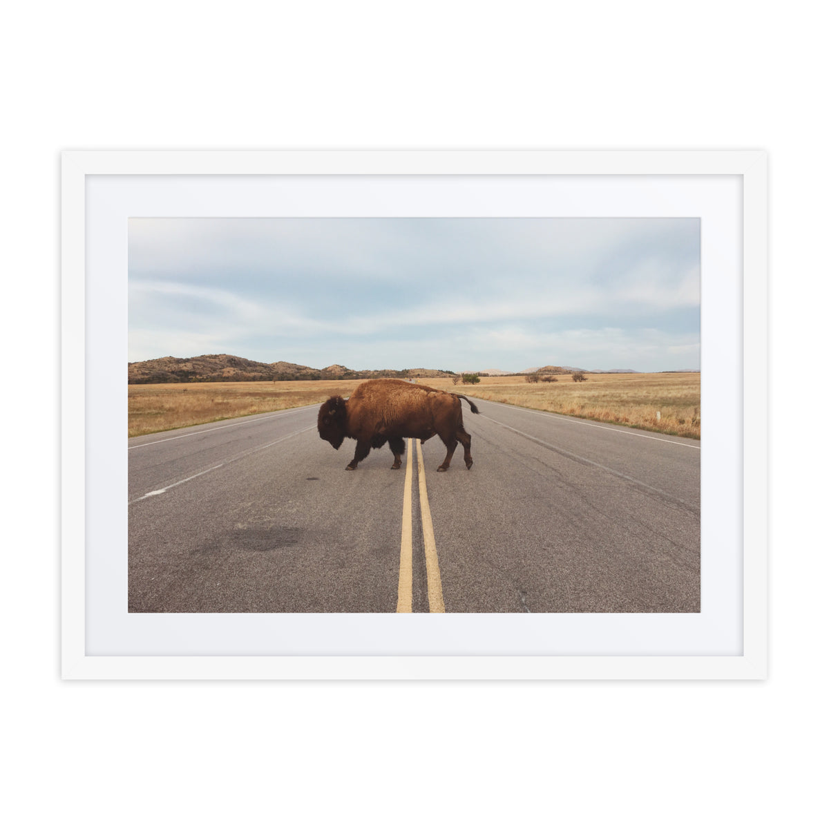 Bison Crossing Framed Art Print With Mat Framed Art Print