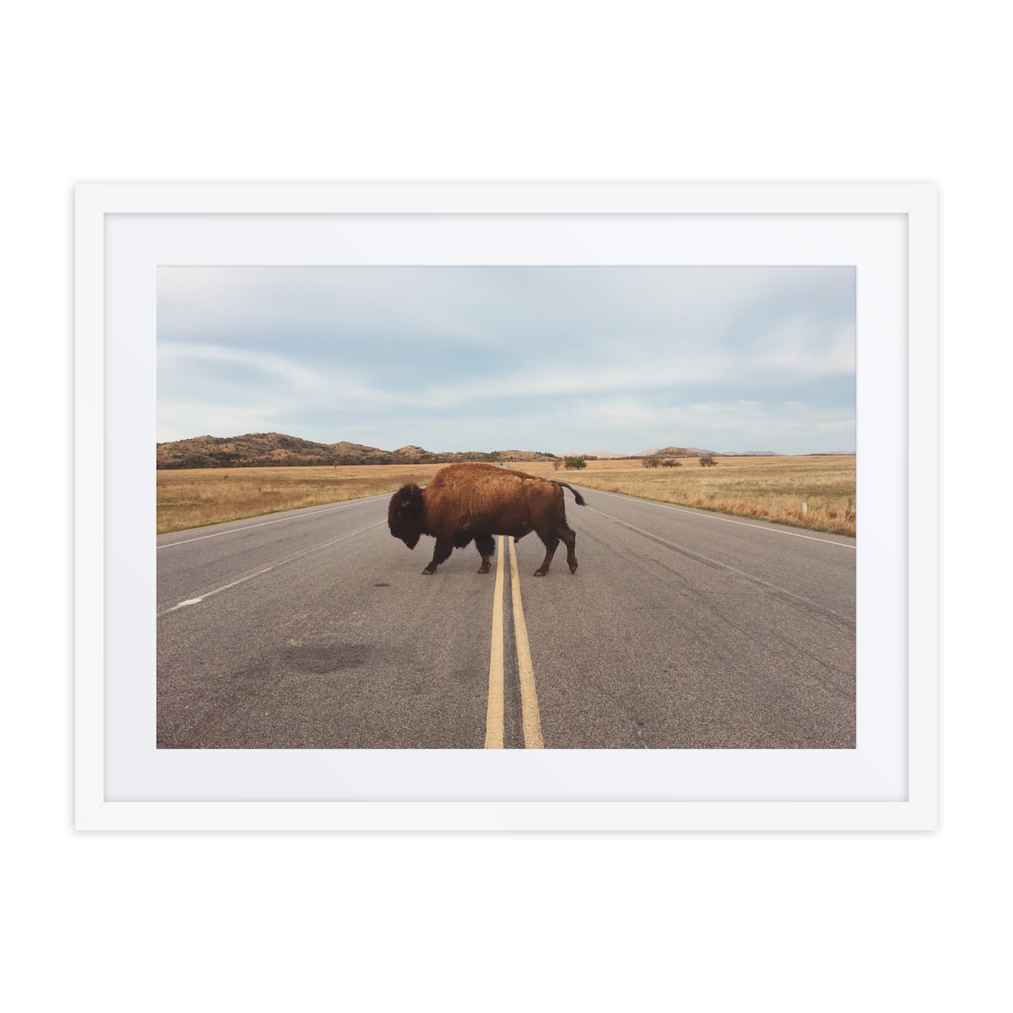 Bison Crossing Framed Art Print With Mat Framed Art Print