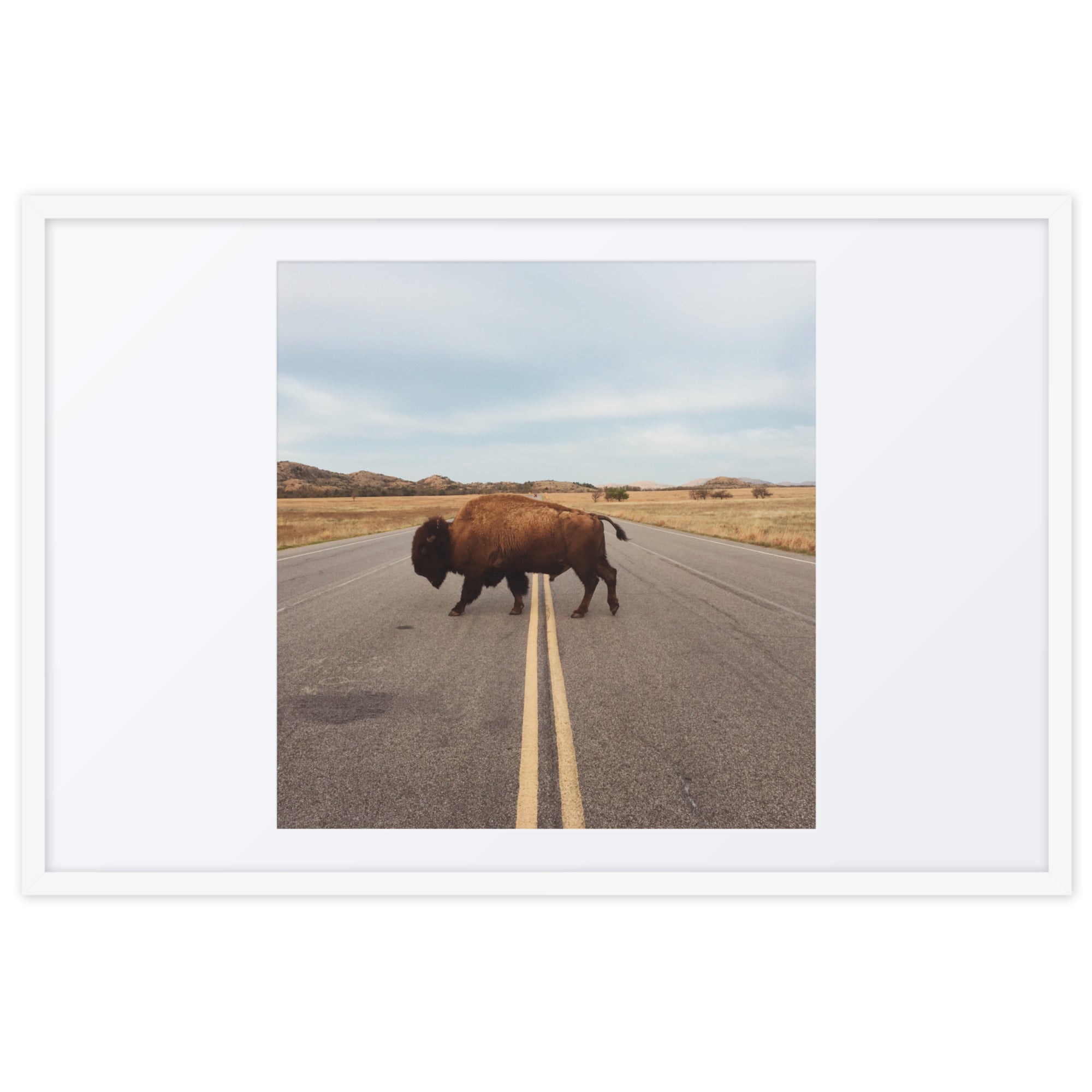 Bison Crossing Framed Art Print With Mat Framed Art Print