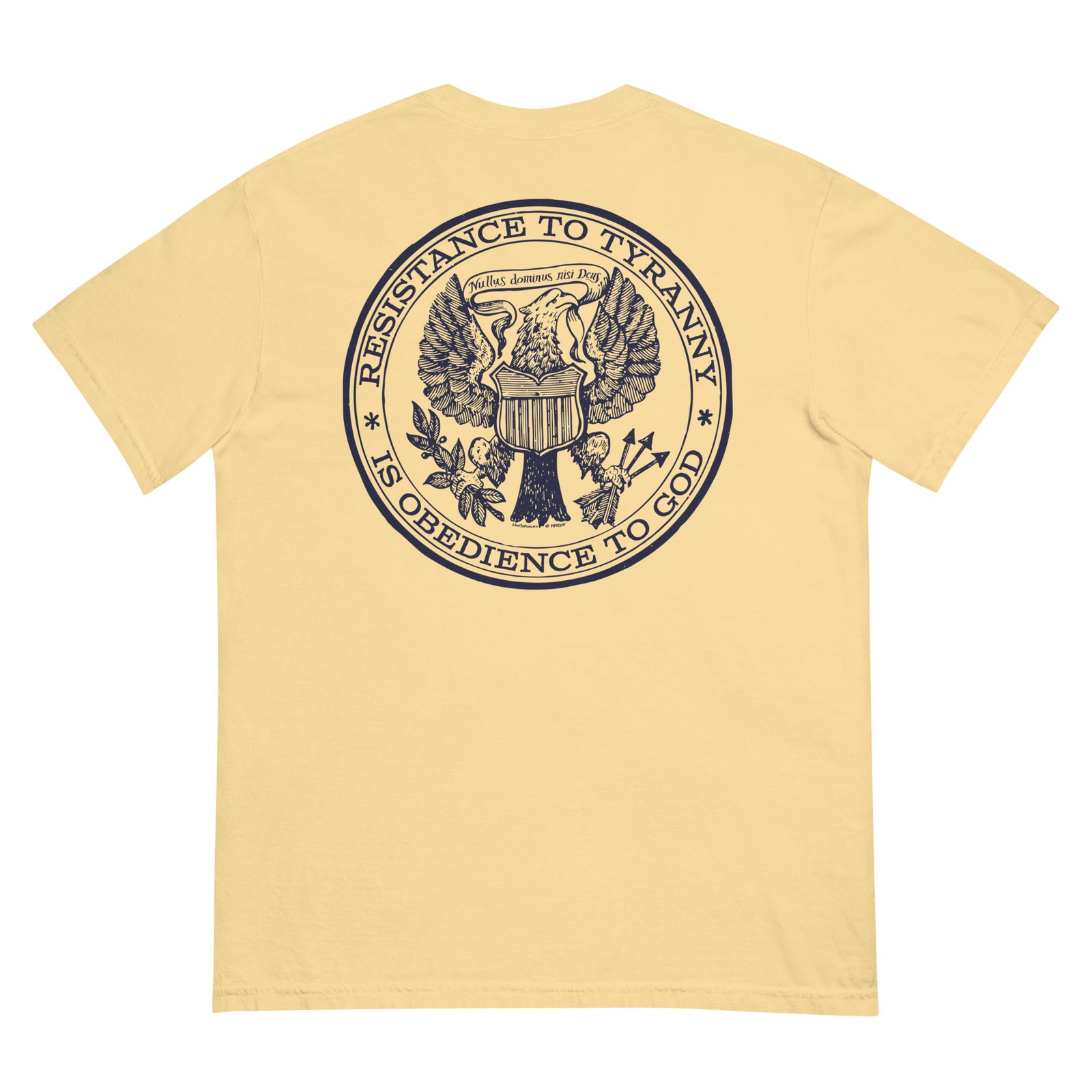 Resistance to Tyranny is Obedience to God Heavyweight T-shirt