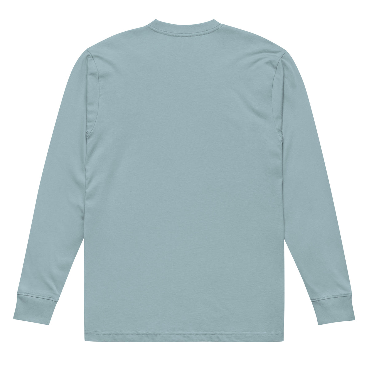 Agave green heavyweight long sleeve tee, back view