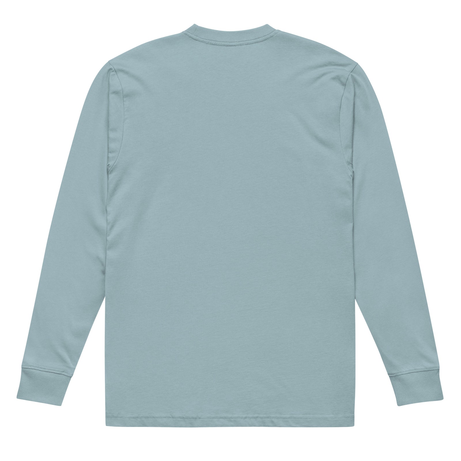 Agave green heavyweight long sleeve tee, back view