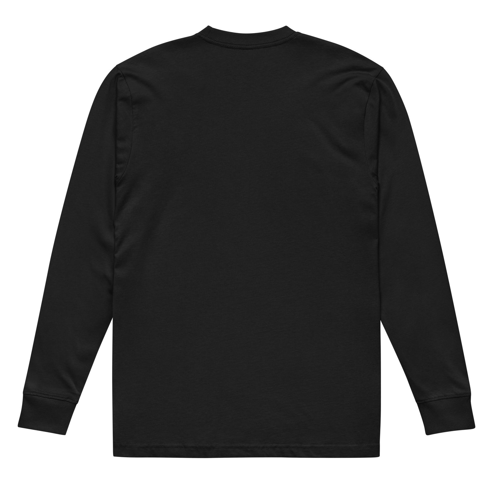 Back view of the black soft-washed heavyweight long sleeve shirt