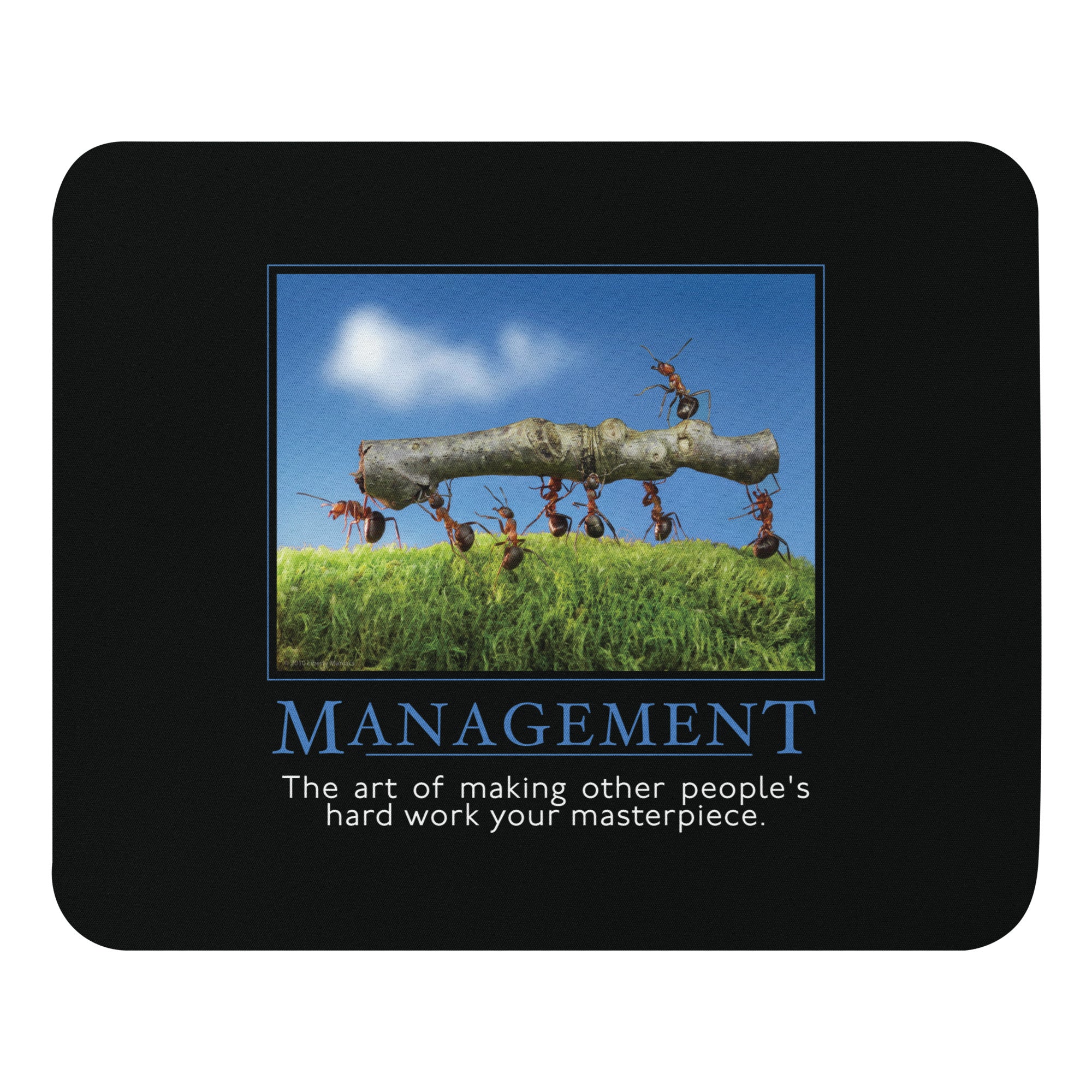 Management Demotivational Mouse Pad