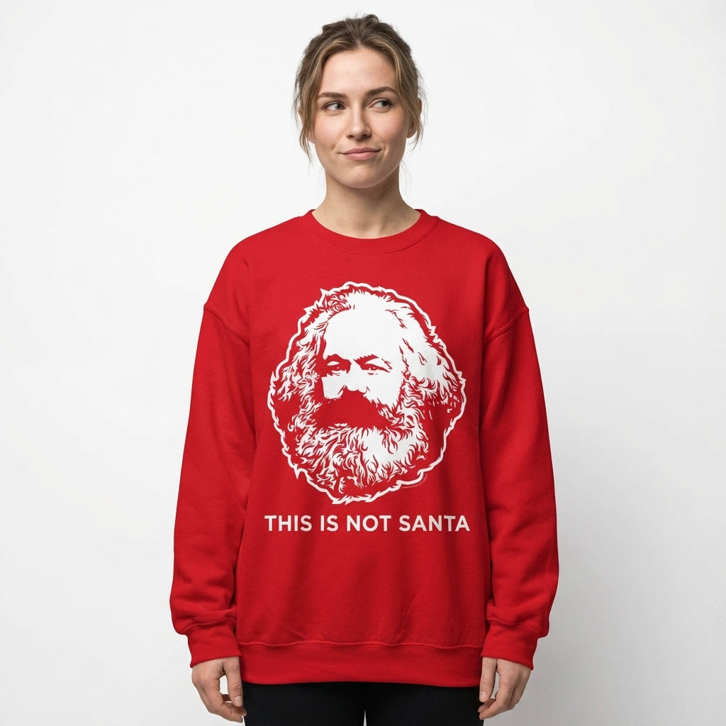 This Is Not Santa Hoodie Sweatshirt