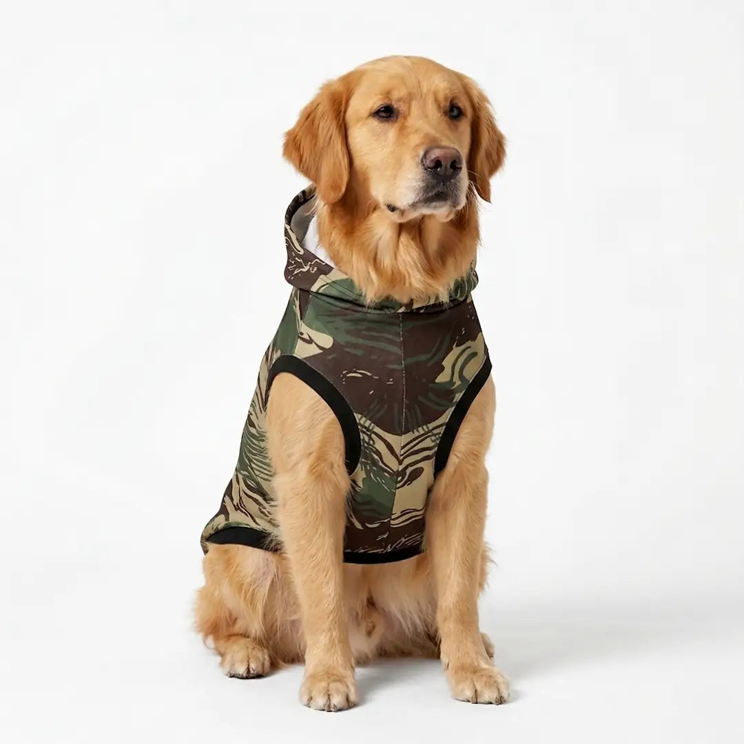 Dog wearing a camouflage hoodie on a white background