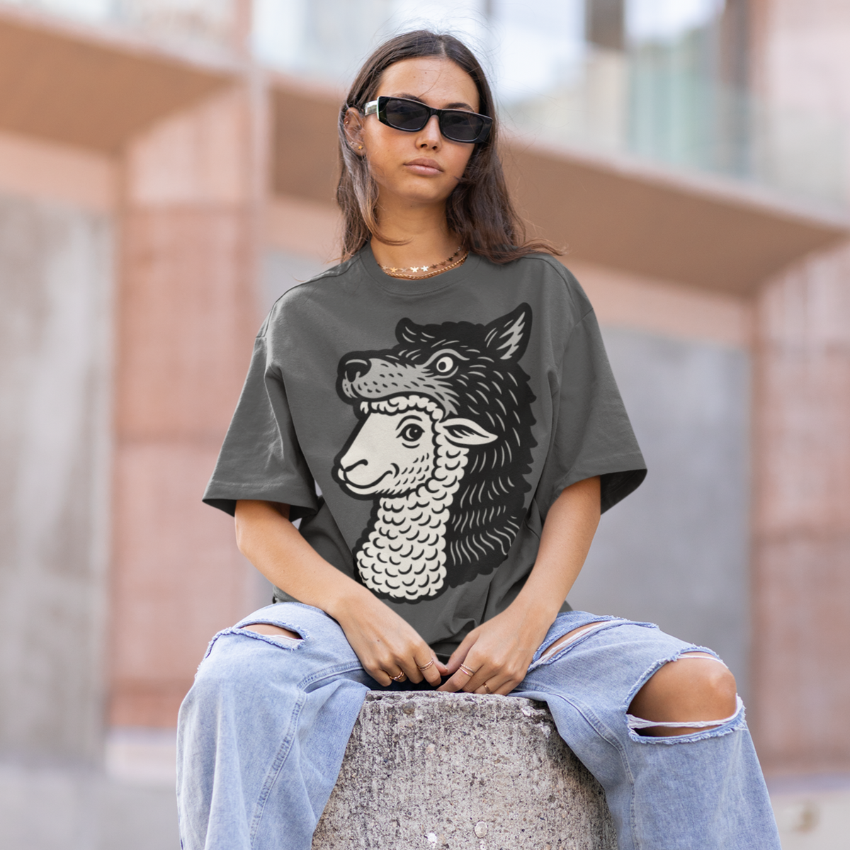 Sheep In Wolves Clothing Matthew 5:5 Garment-dyed Heavyweight T-shirt