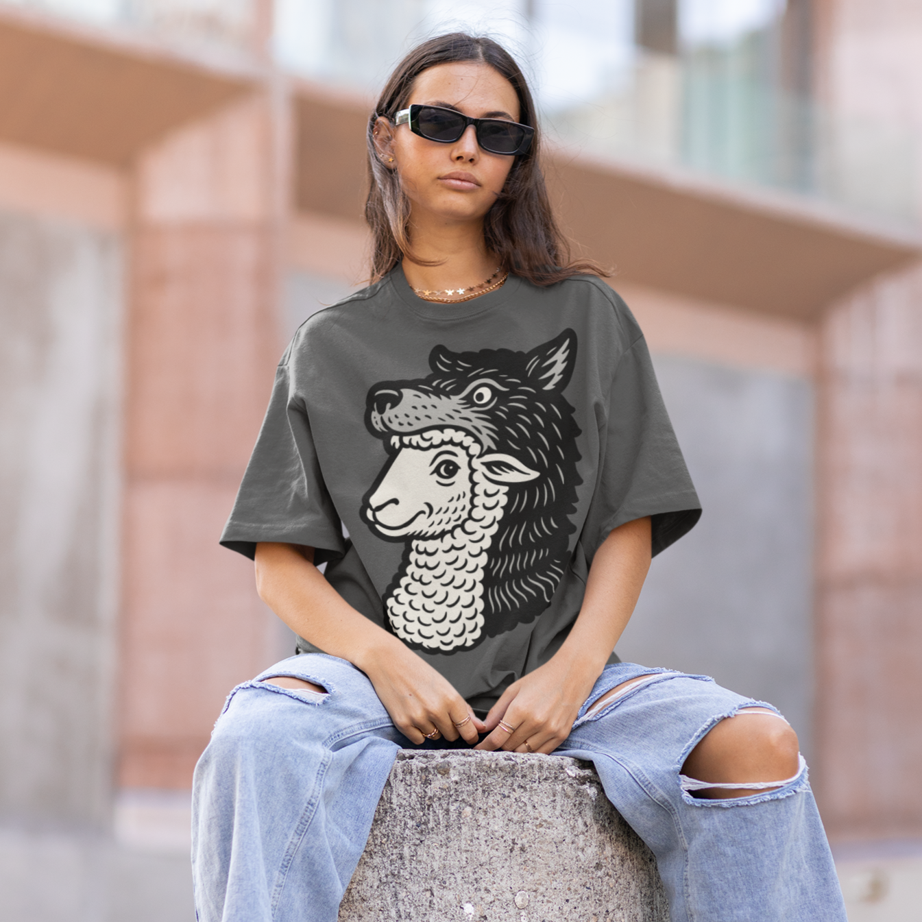 Sheep In Wolves Clothing Matthew 5:5 Garment-dyed Heavyweight T-shirt