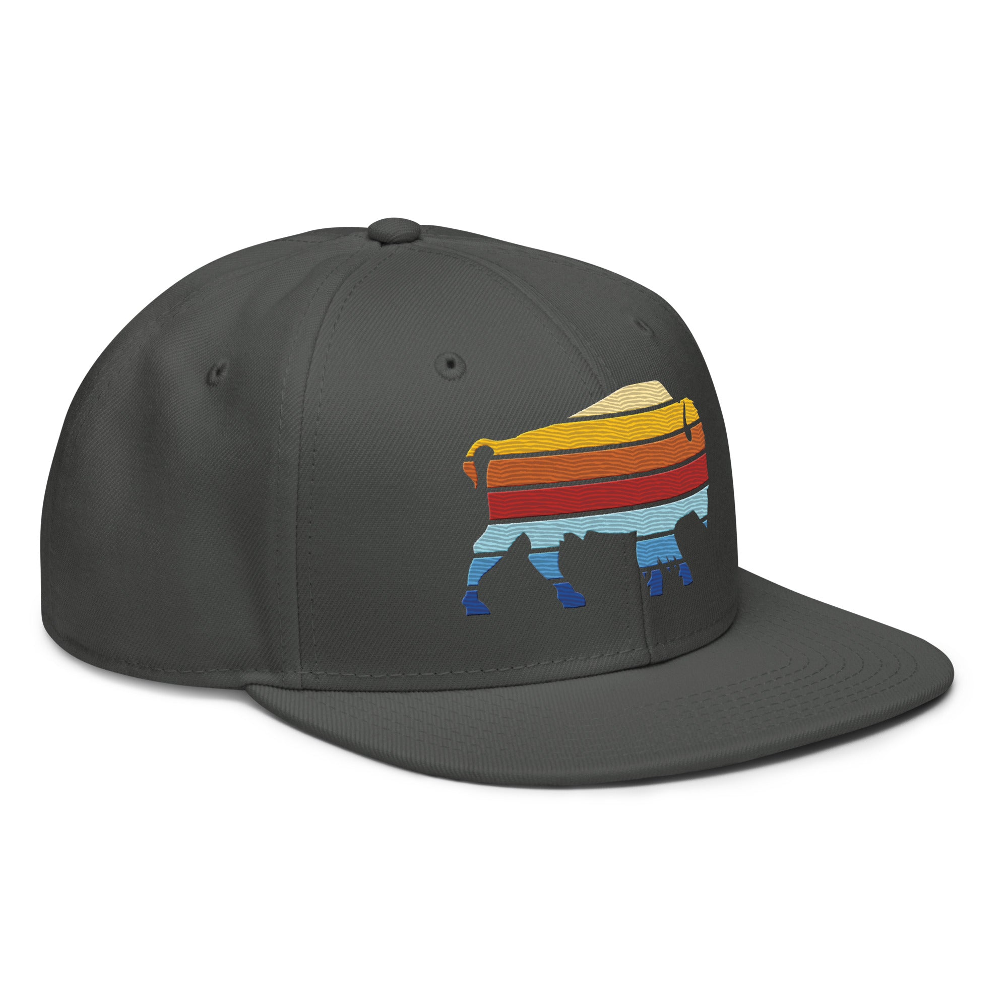 Bison Color Stack Snapback Hat