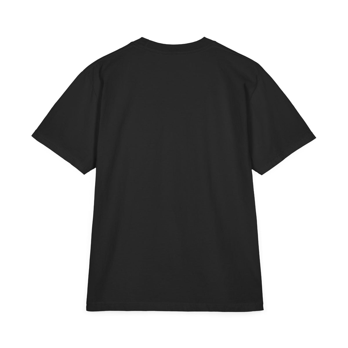 Ben Franklin Rebel Patriot heavyweight pigment-dyed boxy tee in black, back view