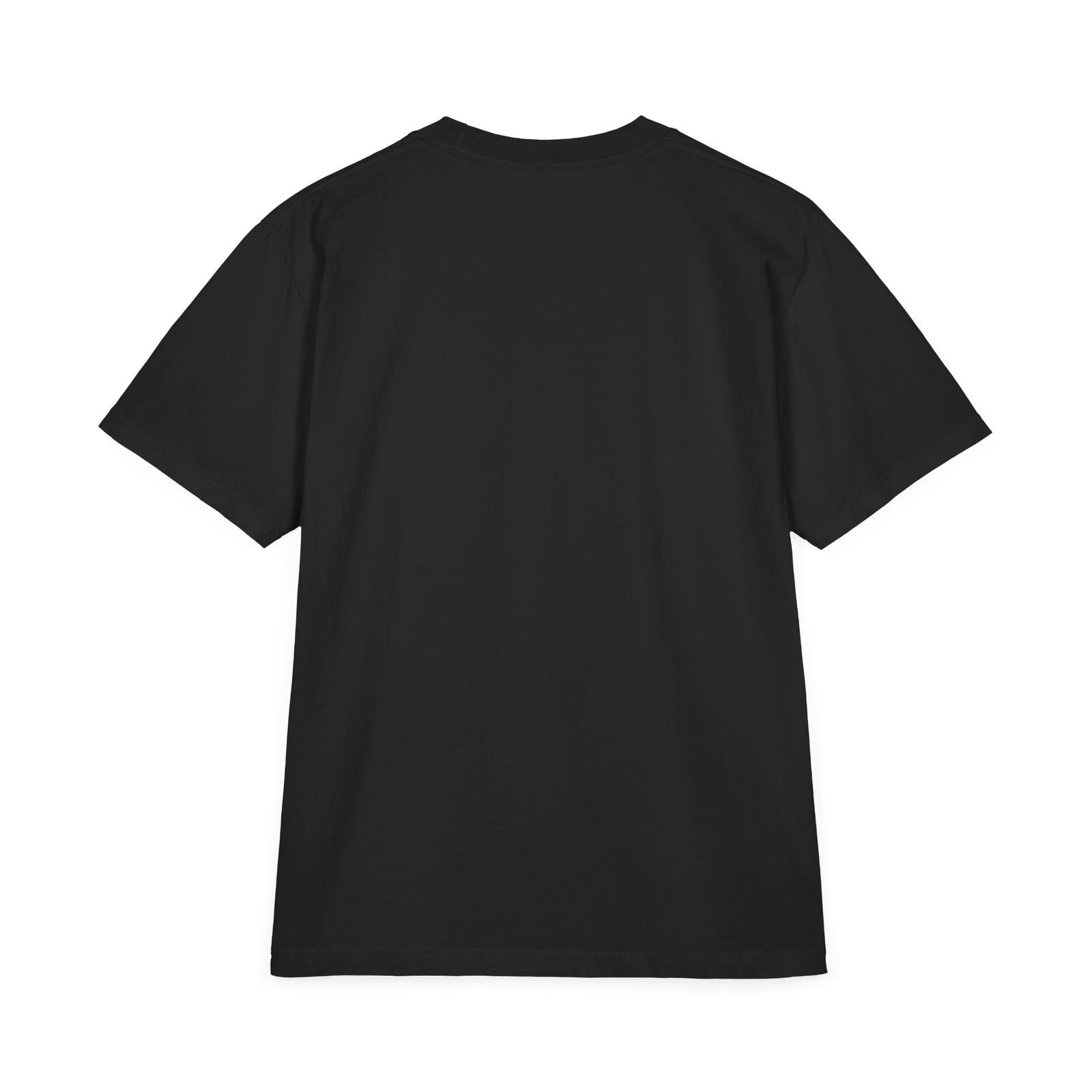 Ben Franklin Rebel Patriot heavyweight pigment-dyed boxy tee in black, back view