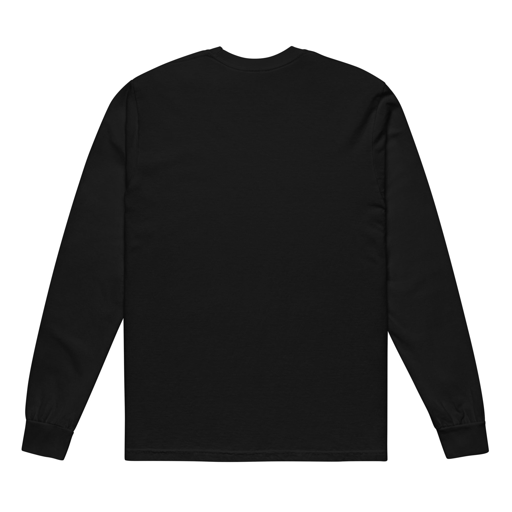 Mass Formation Psychosis Garment-dyed heavyweight long-sleeve shirt