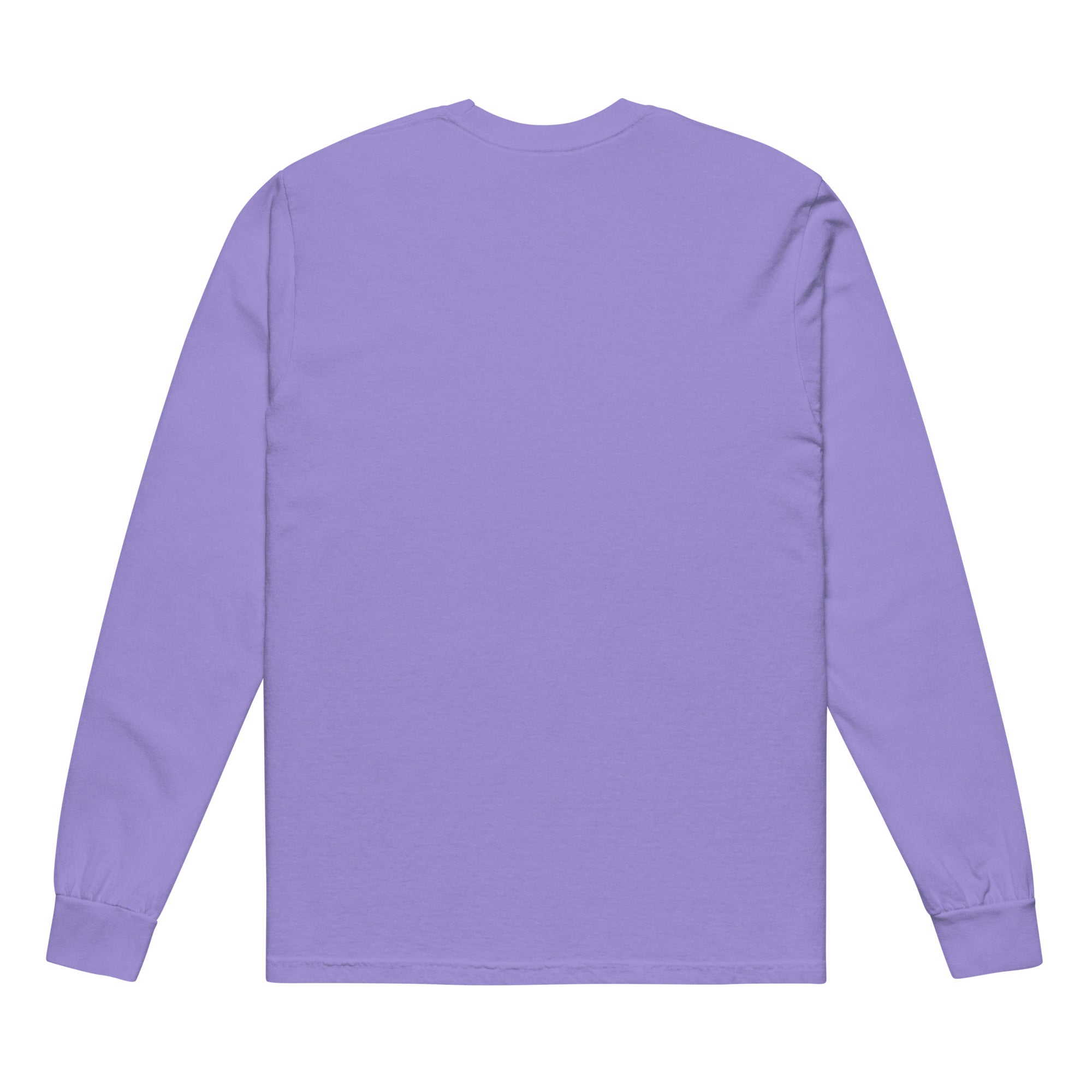 Mass Formation Psychosis Garment-dyed heavyweight long-sleeve shirt