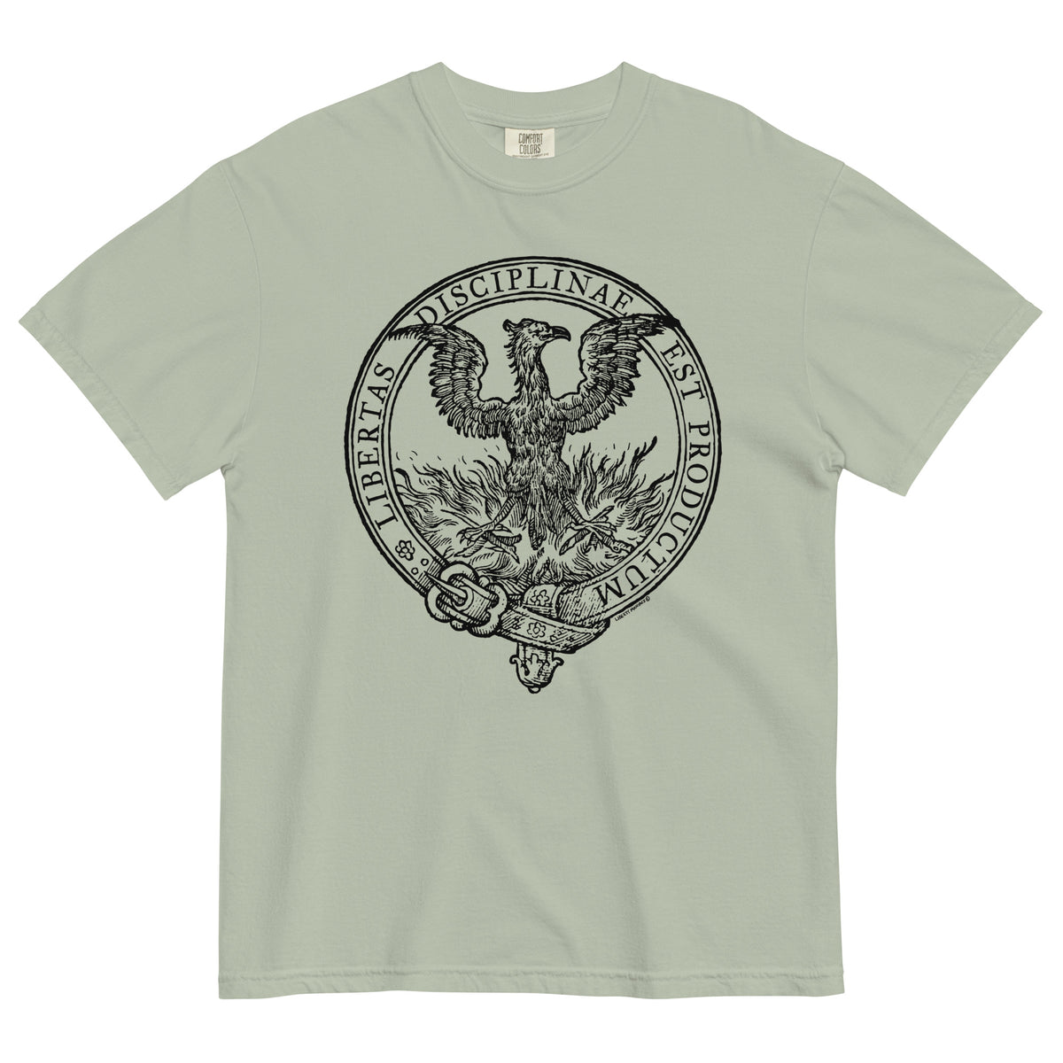 Discipline Bestows Liberty Heavyweight Graphic T-Shirt