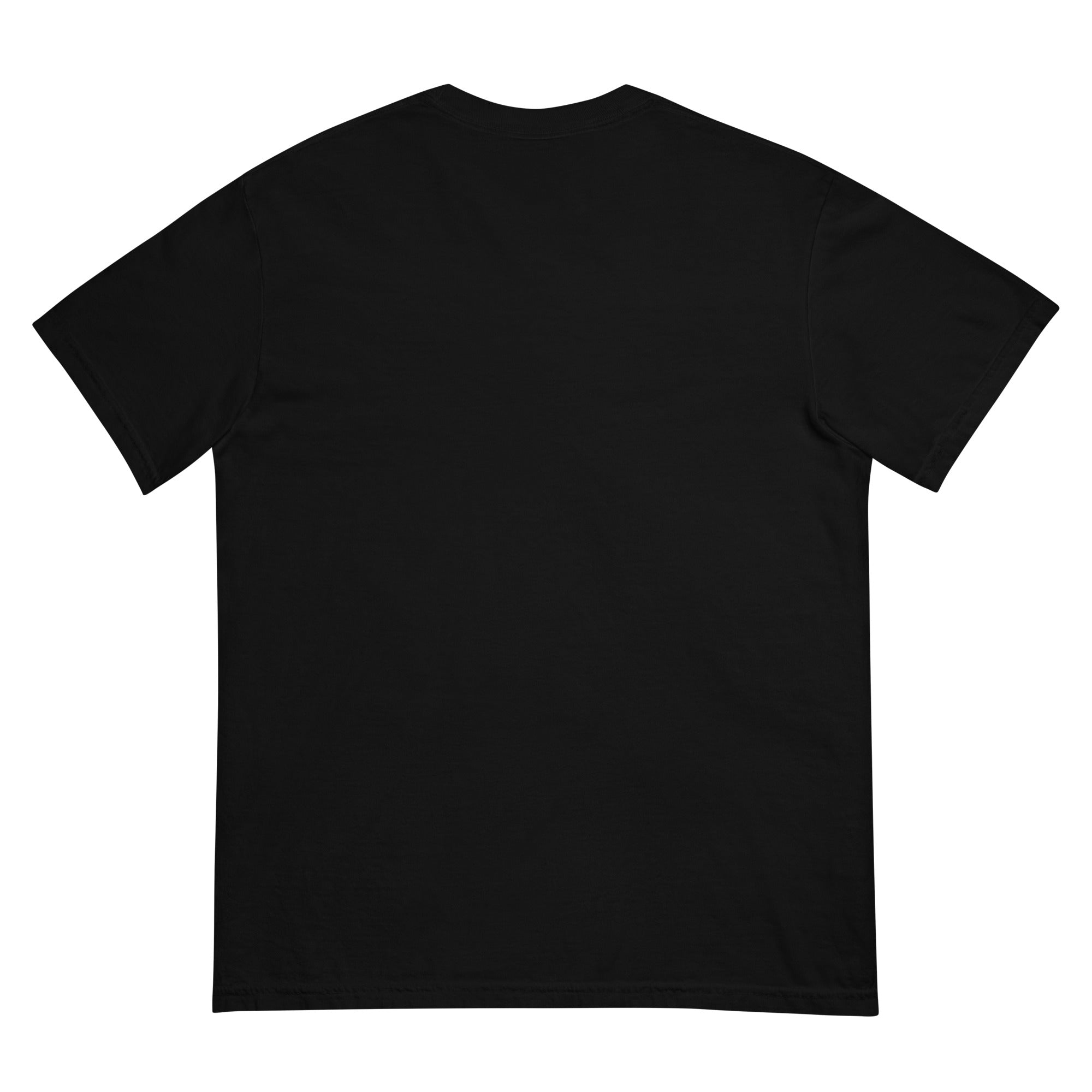 We Are the Carbon They Want To Reduce Garment-dyed Heavyweight T-Shirt