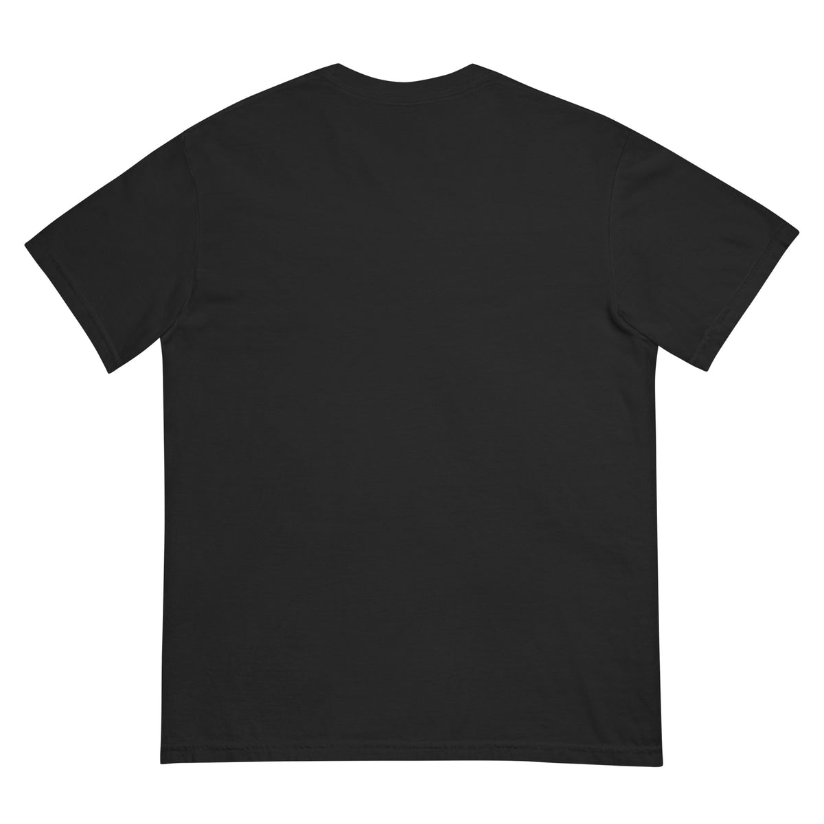 Panther Den Information Warfare T-shirt in black, back view