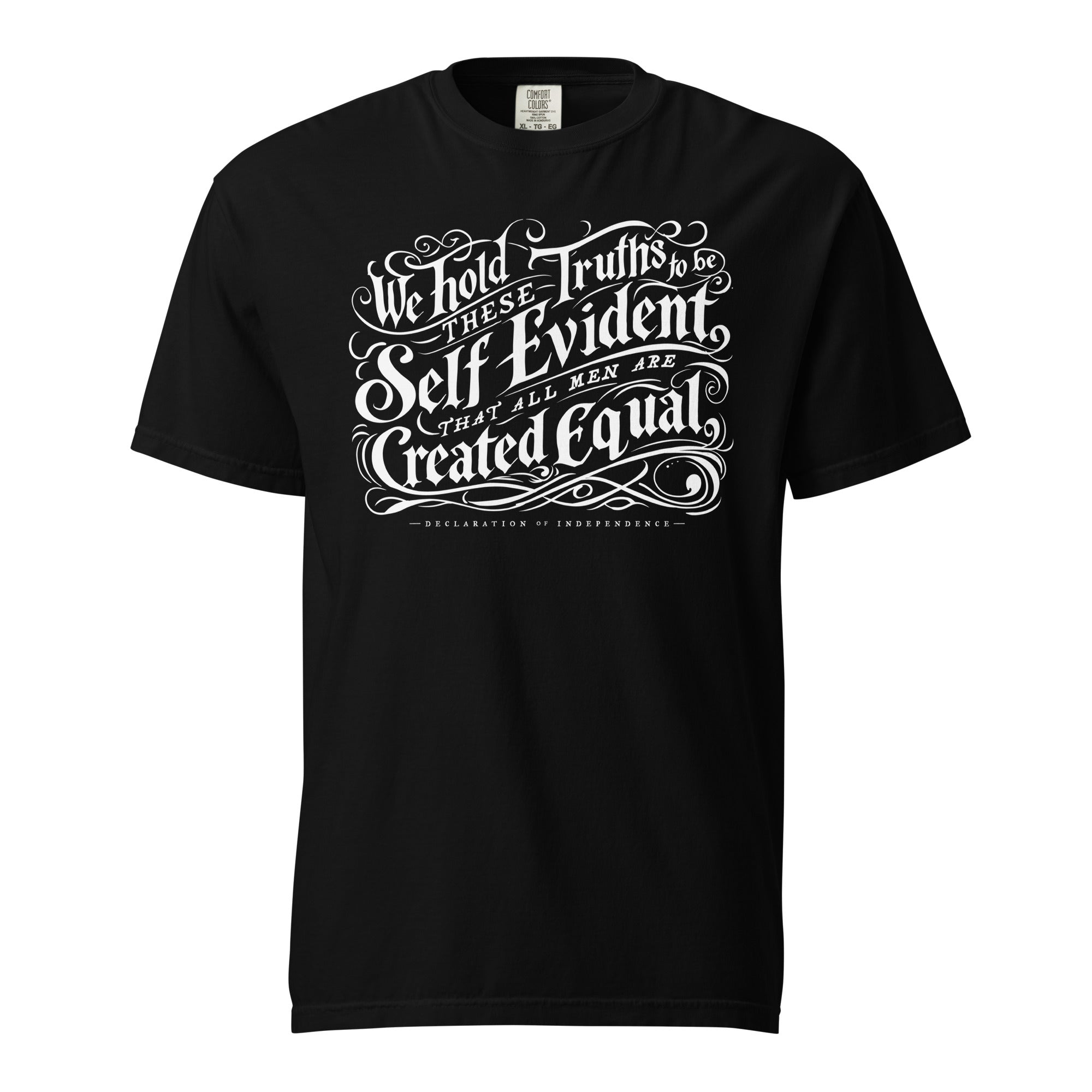 We Hold These Truth to Be Self Evident Heavyweight T-shirt