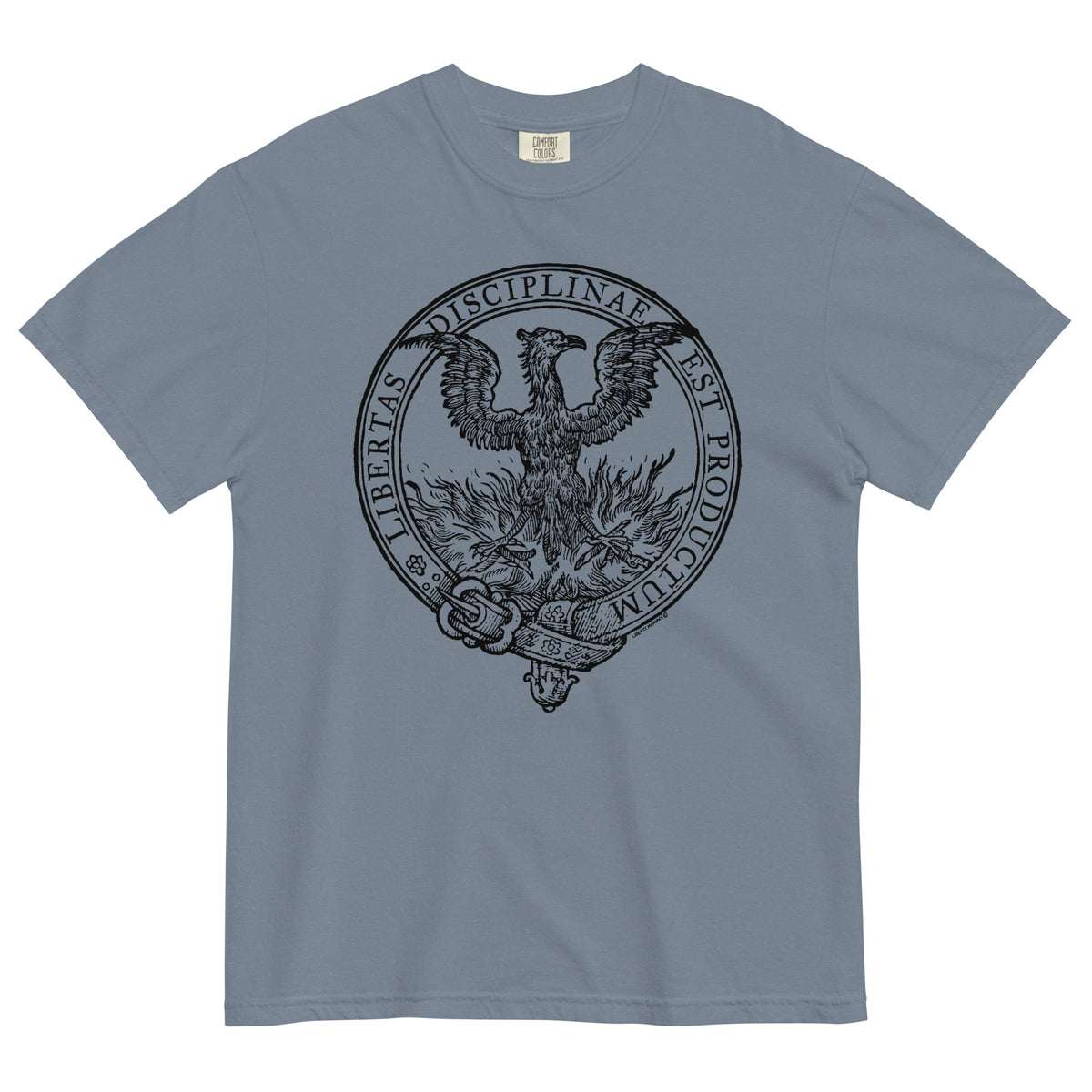 Discipline Bestows Liberty Heavyweight Graphic T-Shirt