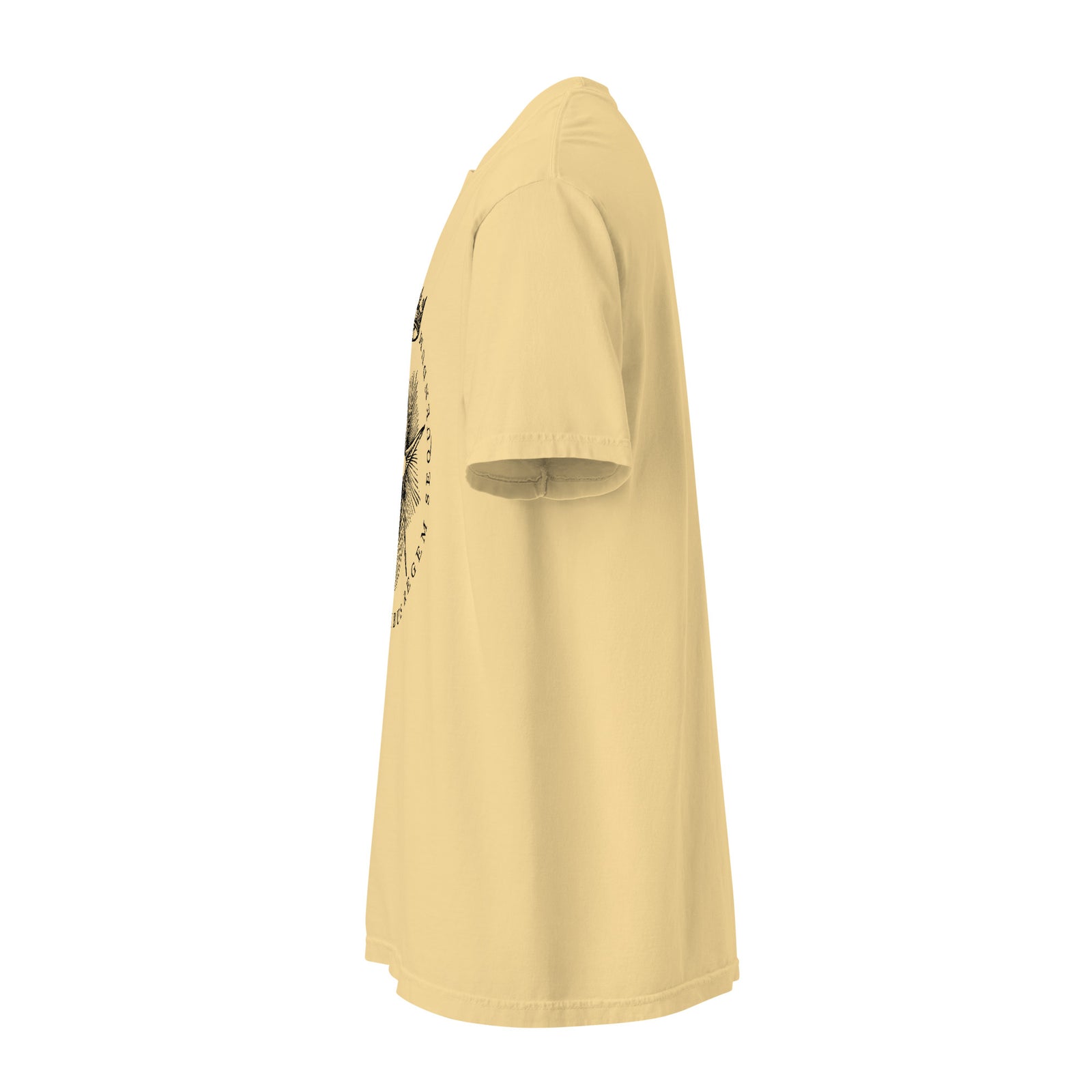 The Star Shows Nativity Garment-dyed Heavyweight T-Shirt