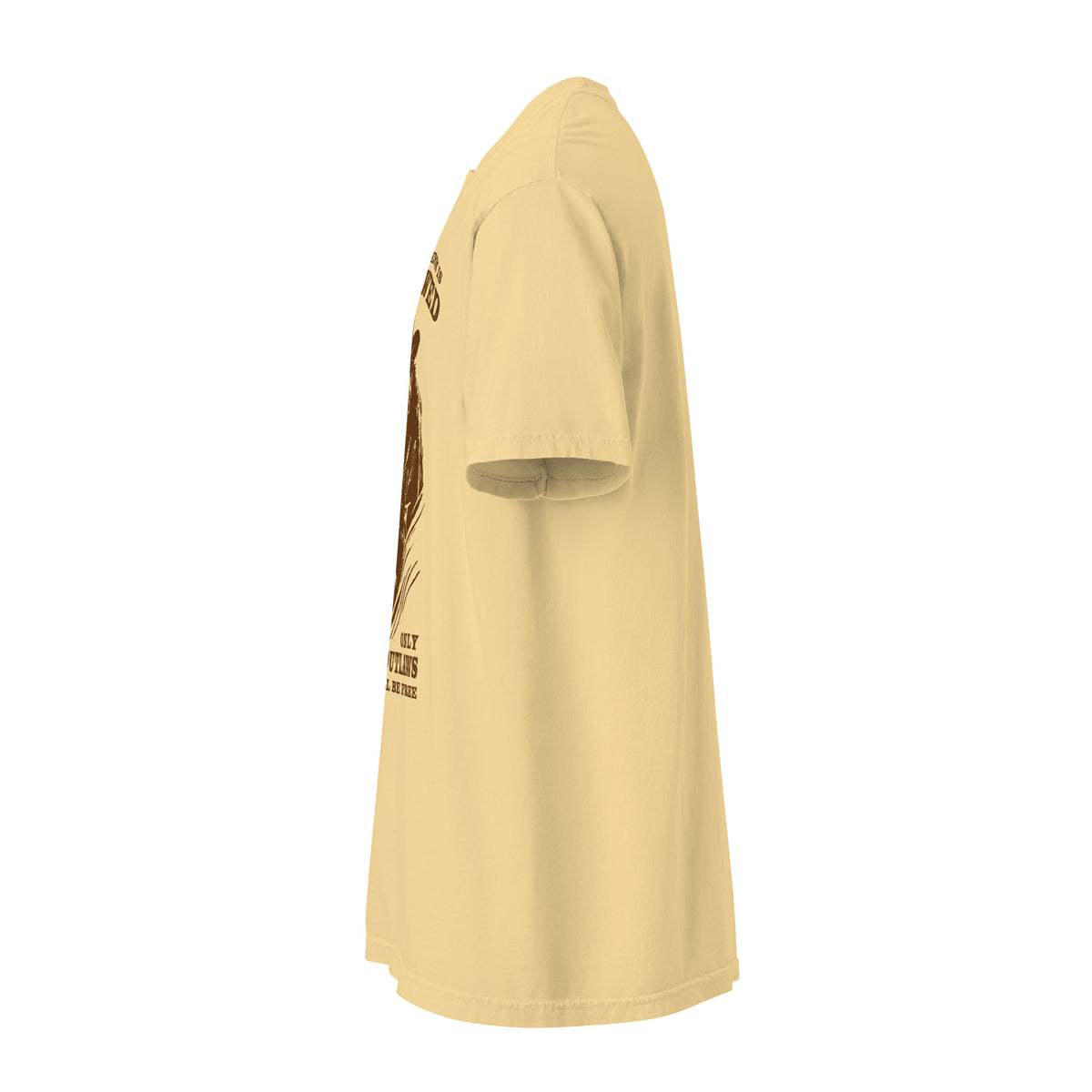 When Freedom is Outlawed Only Outlaws Will Be Free Heavyweight T-Shirt