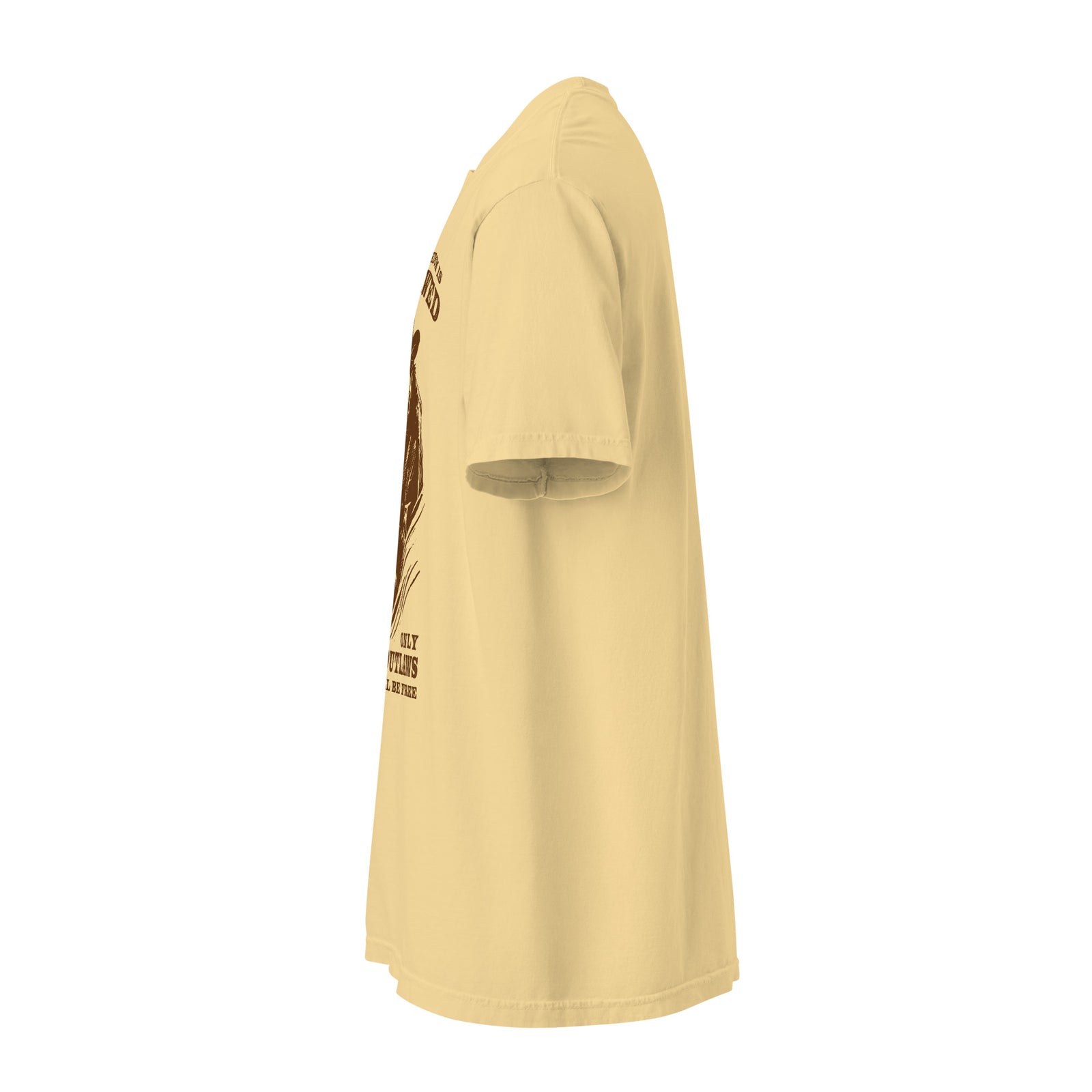 When Freedom is Outlawed Only Outlaws Will Be Free Heavyweight T-Shirt