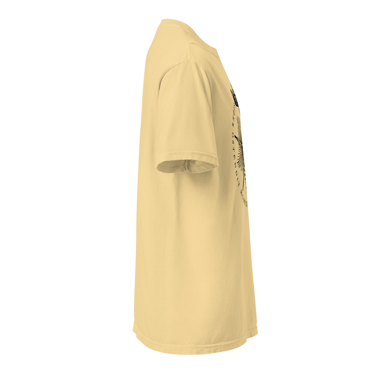 The Star Shows Nativity Garment-dyed Heavyweight T-Shirt