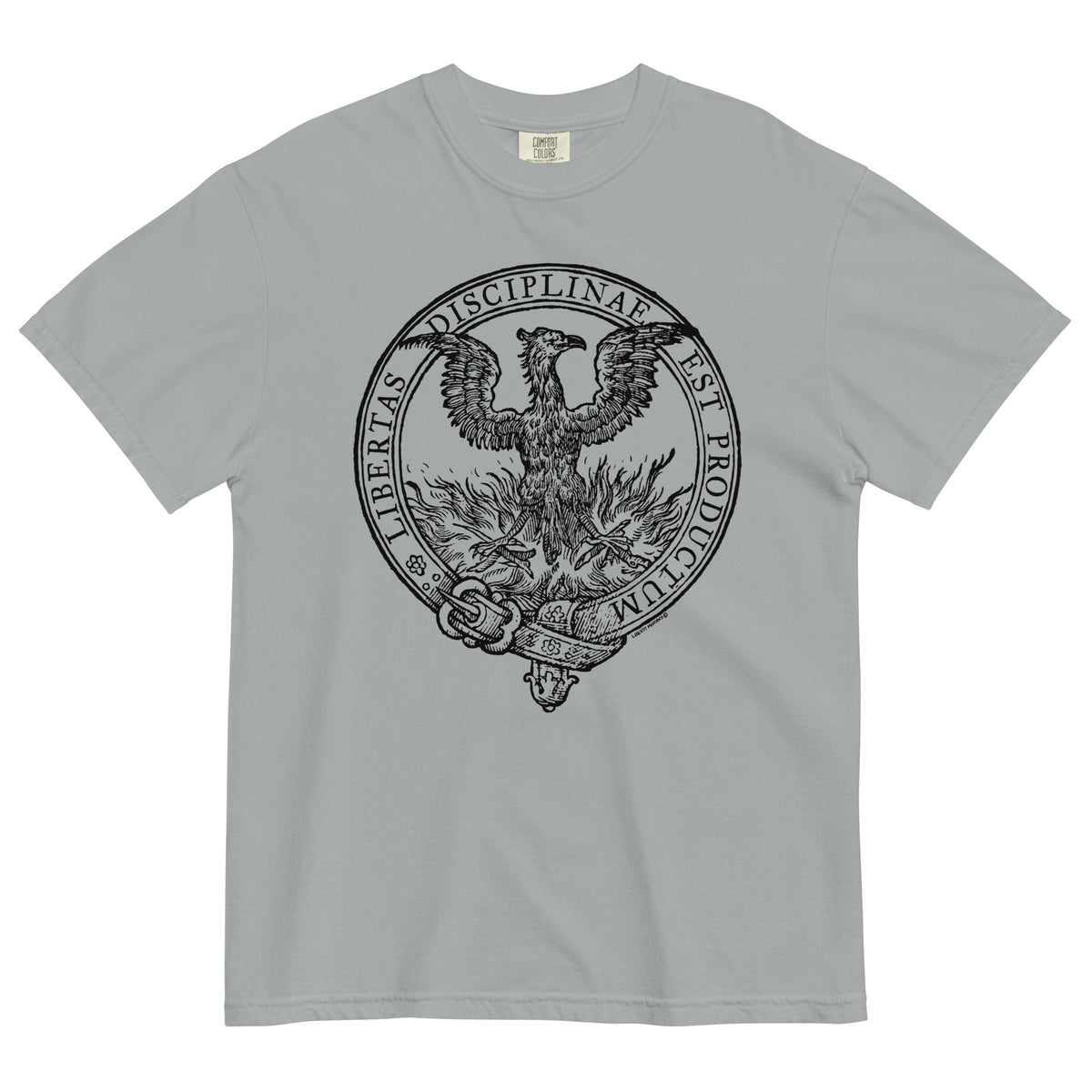 Discipline Bestows Liberty Heavyweight Graphic T-Shirt