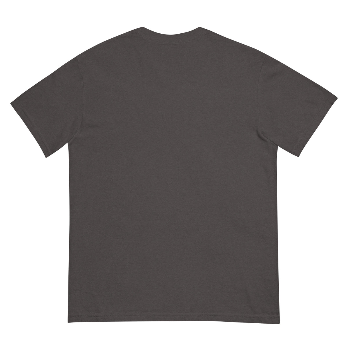 Panther Den Information Warfare T-shirt in graphite, back view