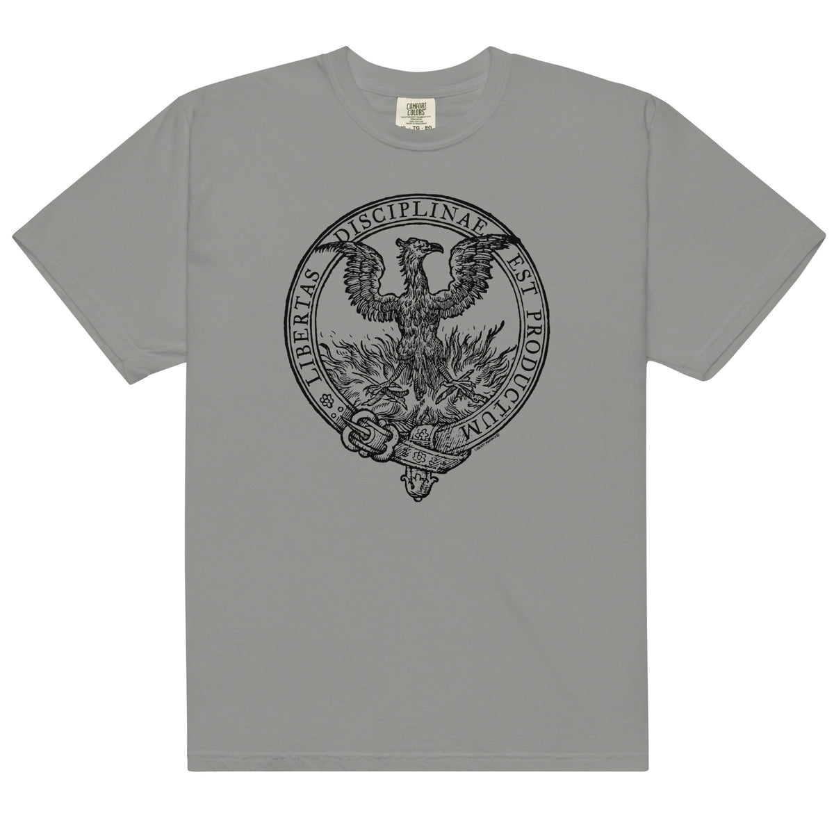 Discipline Bestows Liberty Heavyweight Graphic T-Shirt