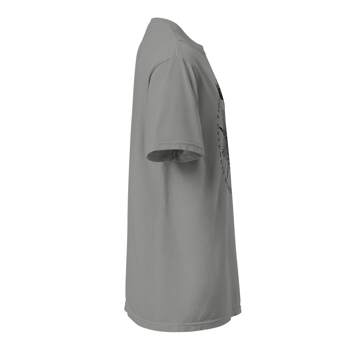 The Star Shows Nativity Garment-dyed Heavyweight T-Shirt