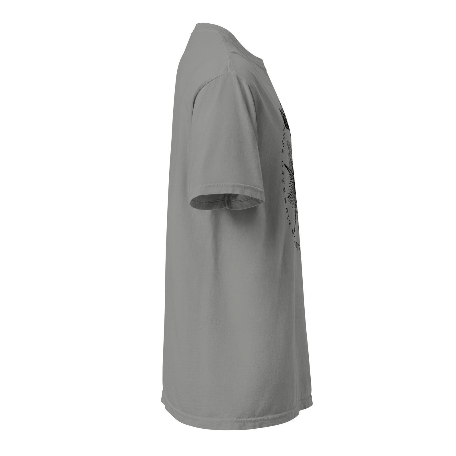 The Star Shows Nativity Garment-dyed Heavyweight T-Shirt