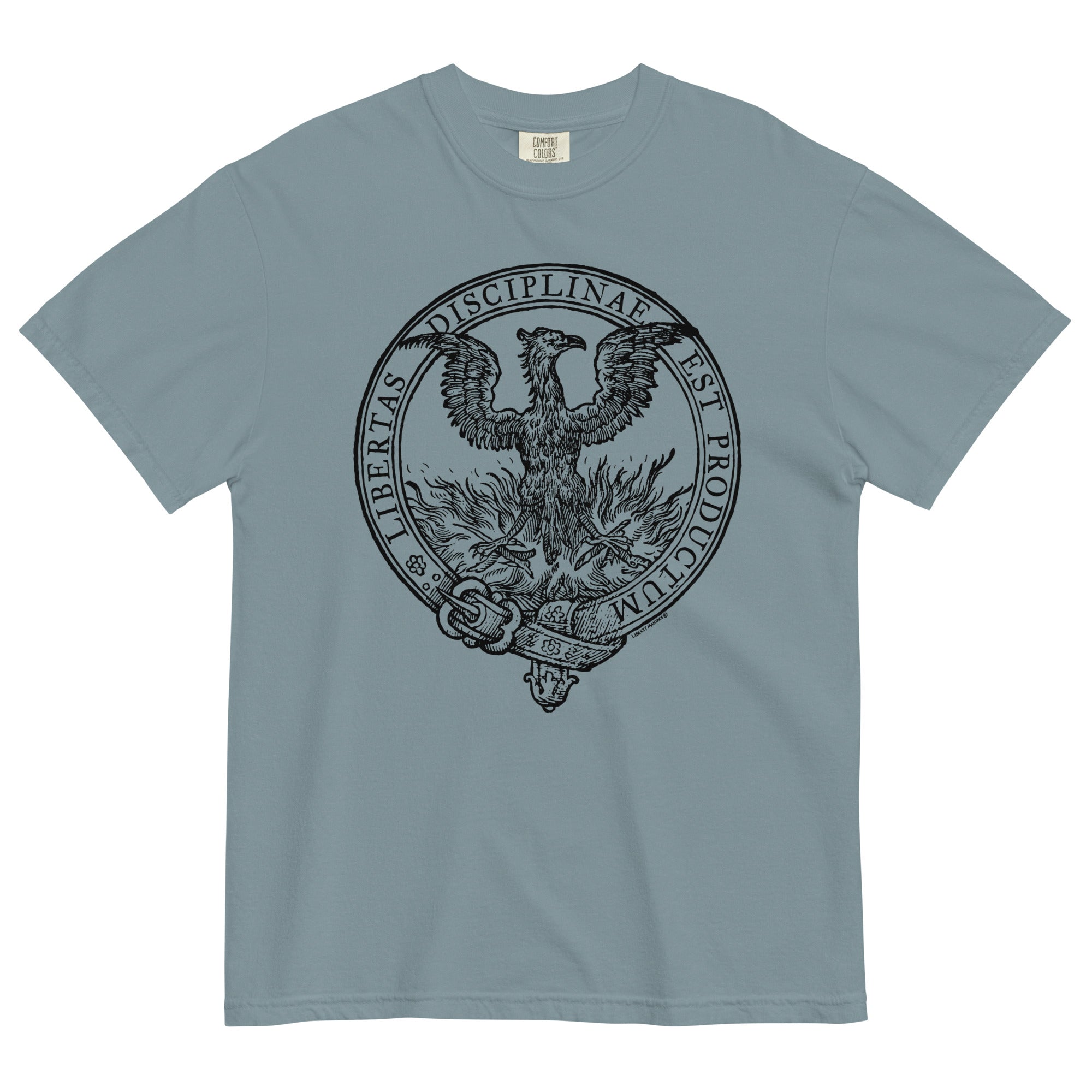 Discipline Bestows Liberty Heavyweight Graphic T-Shirt