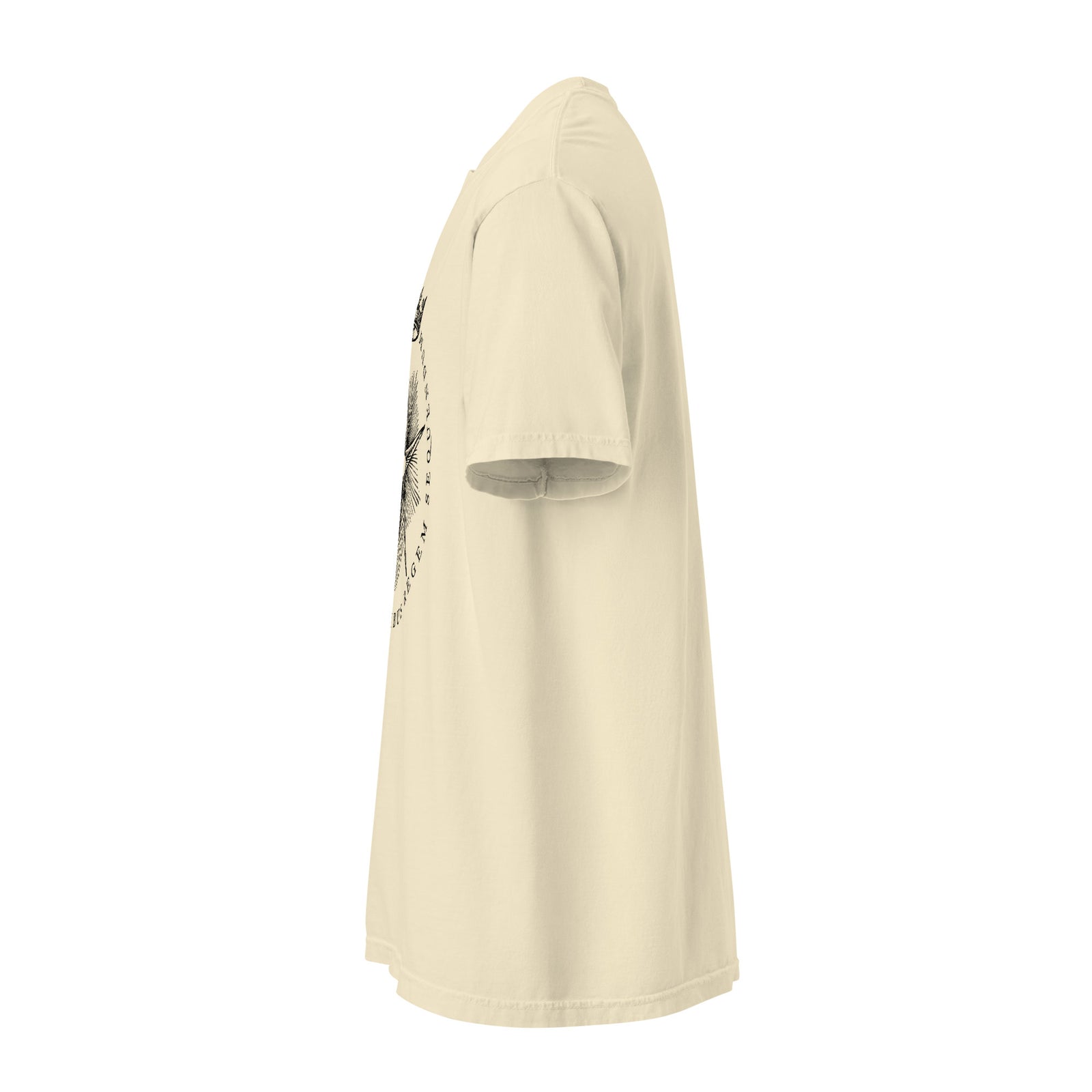 The Star Shows Nativity Garment-dyed Heavyweight T-Shirt