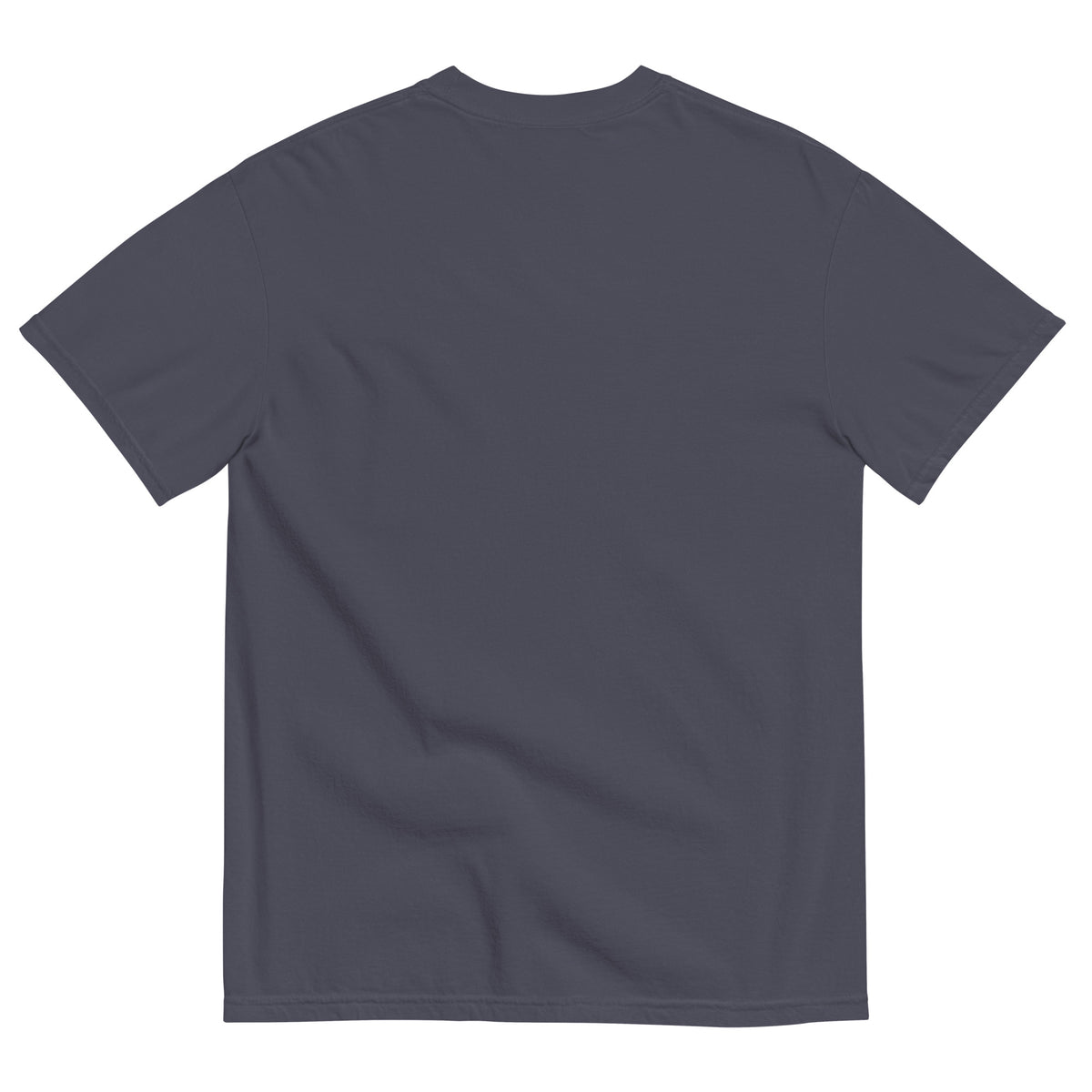 Navy garment-dyed Sea of Liberty heavyweight T-shirt, unprinted back view