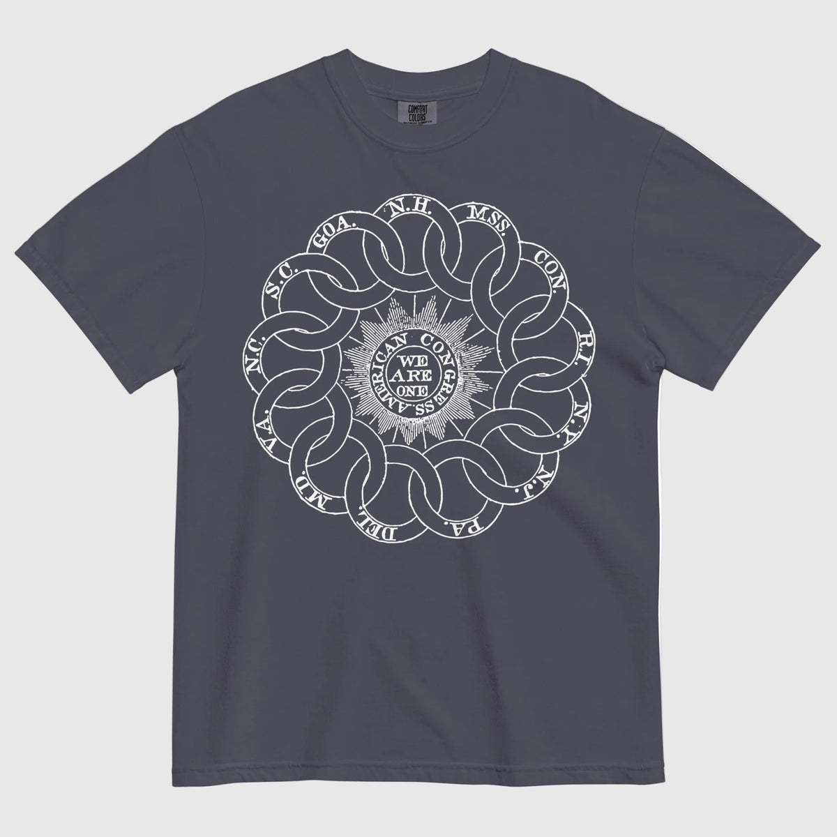 A drab blue Continental Rings Garment Dyed Graphic T-Shirt featuring a white circular graphic print on the front with interlocking rings and text.