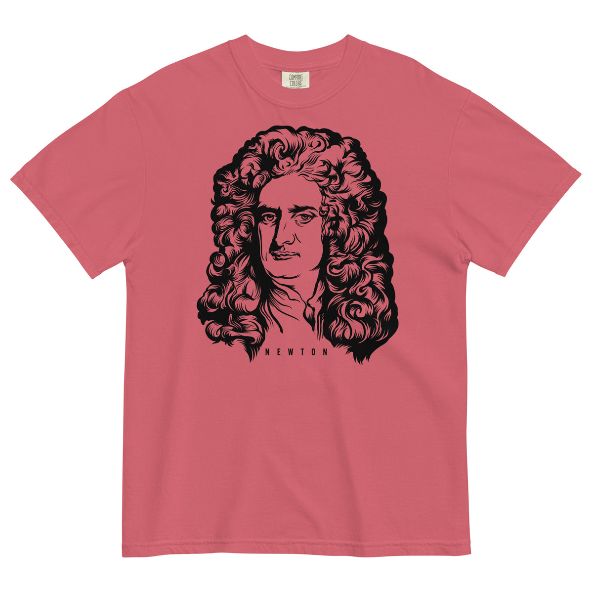 Sir Issac Newton Garment-dyed Heavyweight T-Shirt