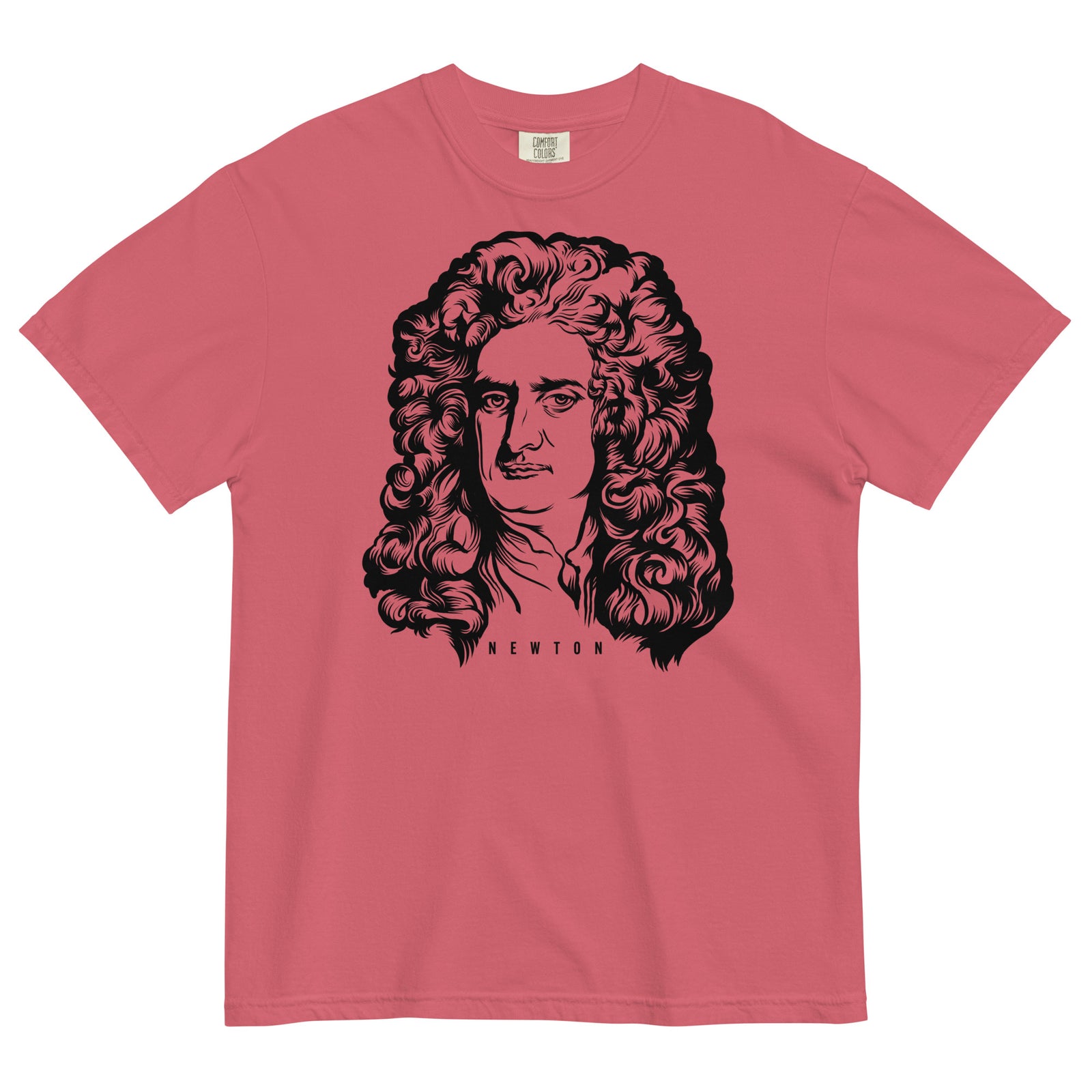Sir Issac Newton Garment-dyed Heavyweight T-Shirt