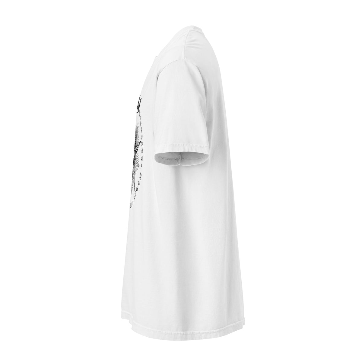 The Star Shows Nativity Garment-dyed Heavyweight T-Shirt