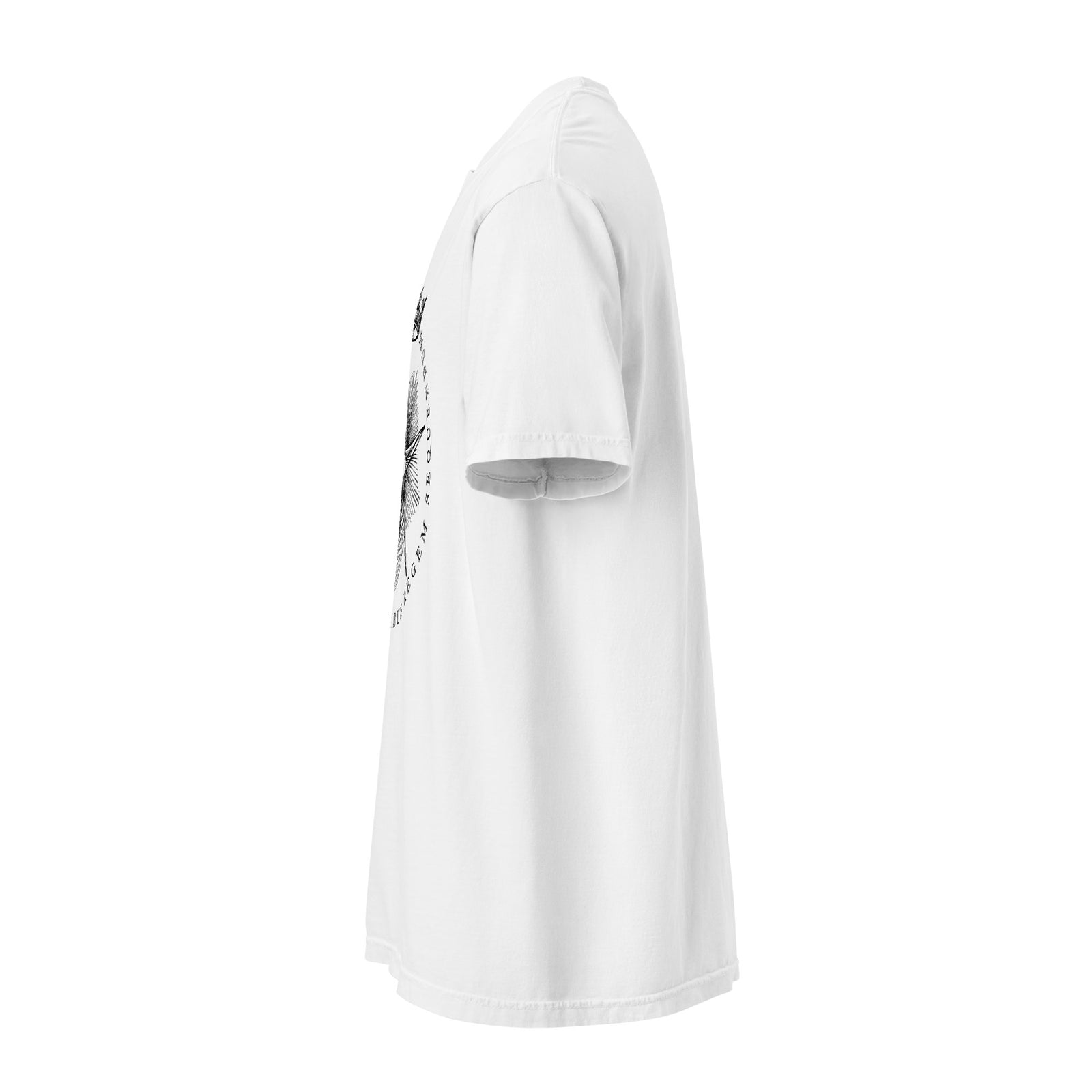 The Star Shows Nativity Garment-dyed Heavyweight T-Shirt