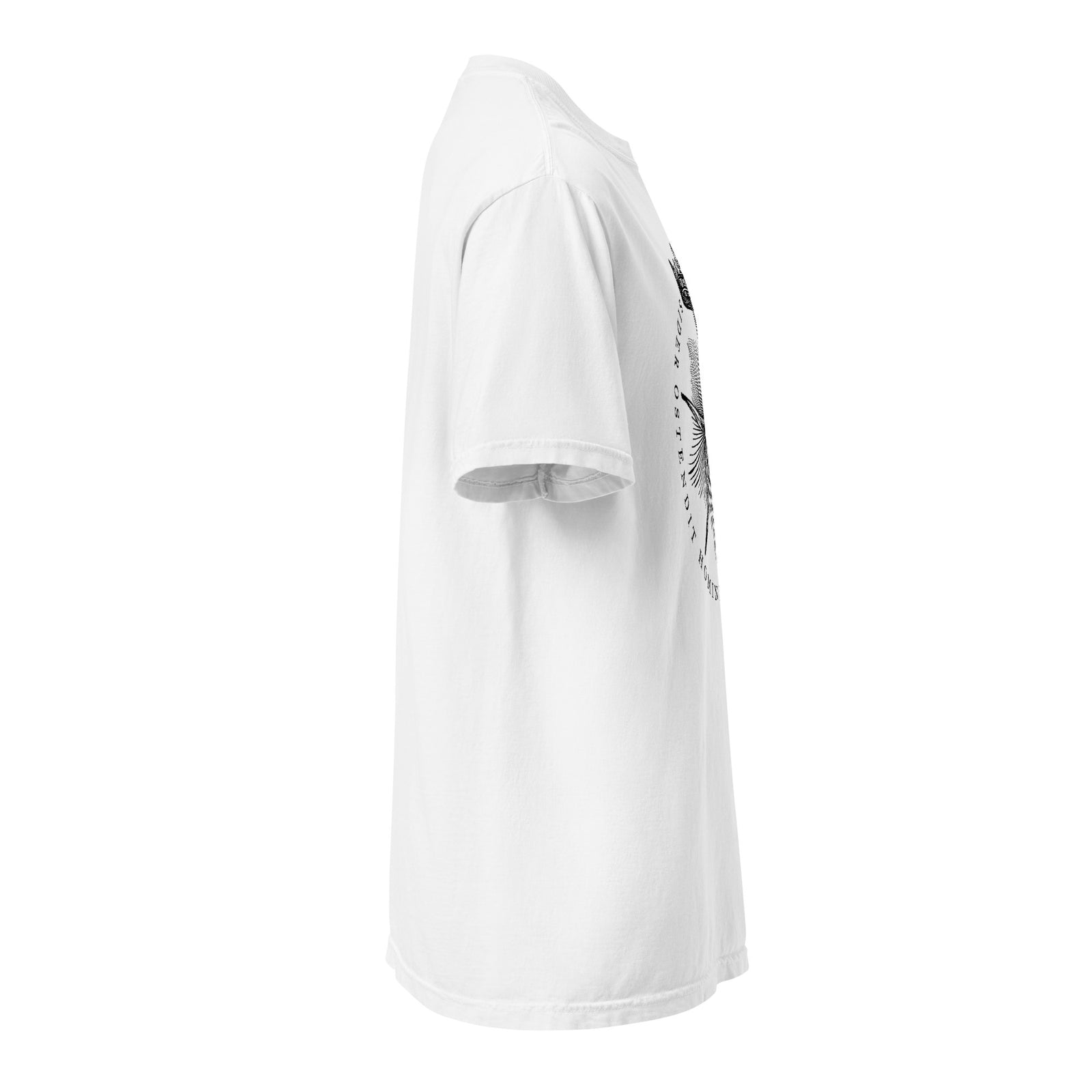 The Star Shows Nativity Garment-dyed Heavyweight T-Shirt