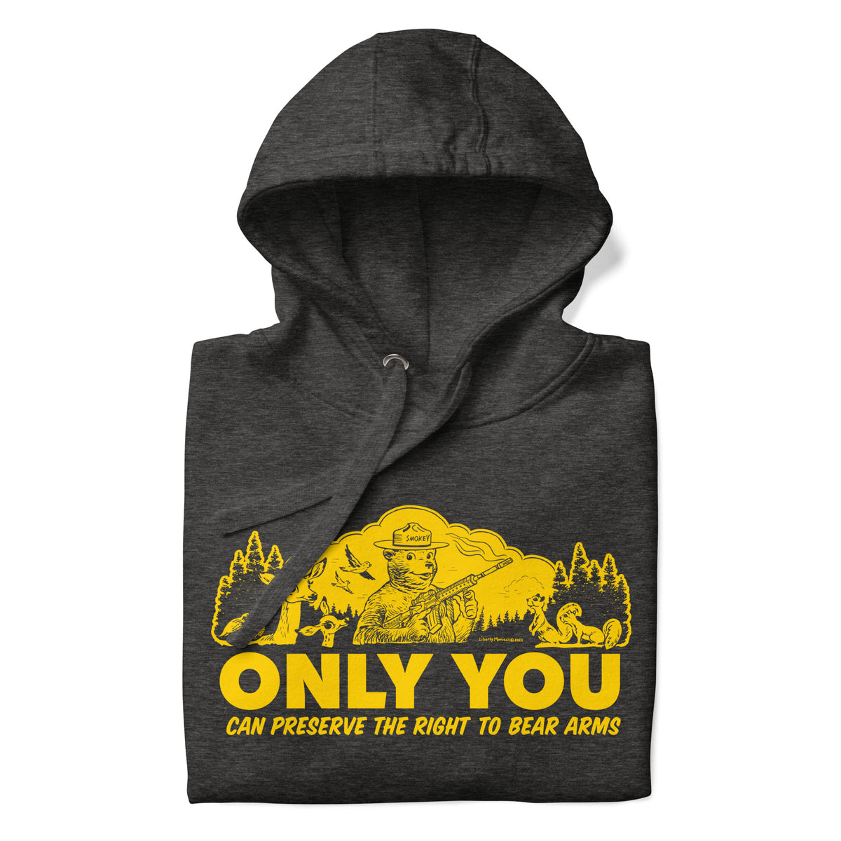 Only You Can Protect the Right to Bear Arms Hoodie Sweatshirt