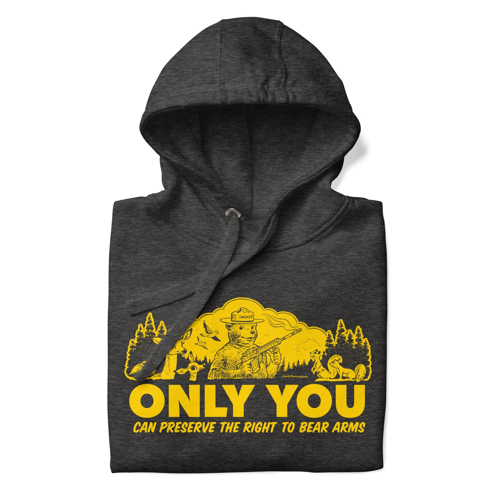 Only You Can Protect the Right to Bear Arms Hoodie Sweatshirt