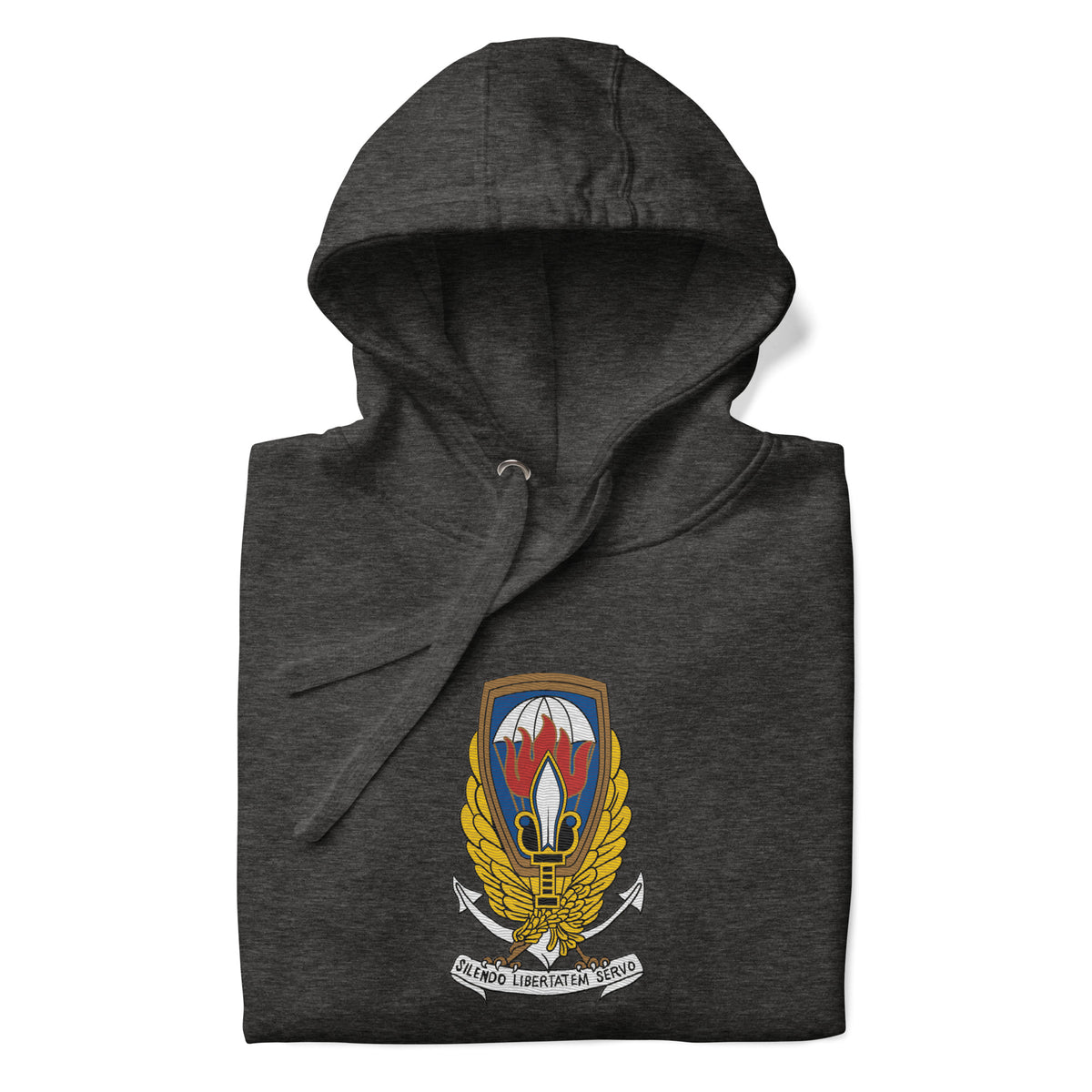 Operation GLADIO embroidered Hoodie