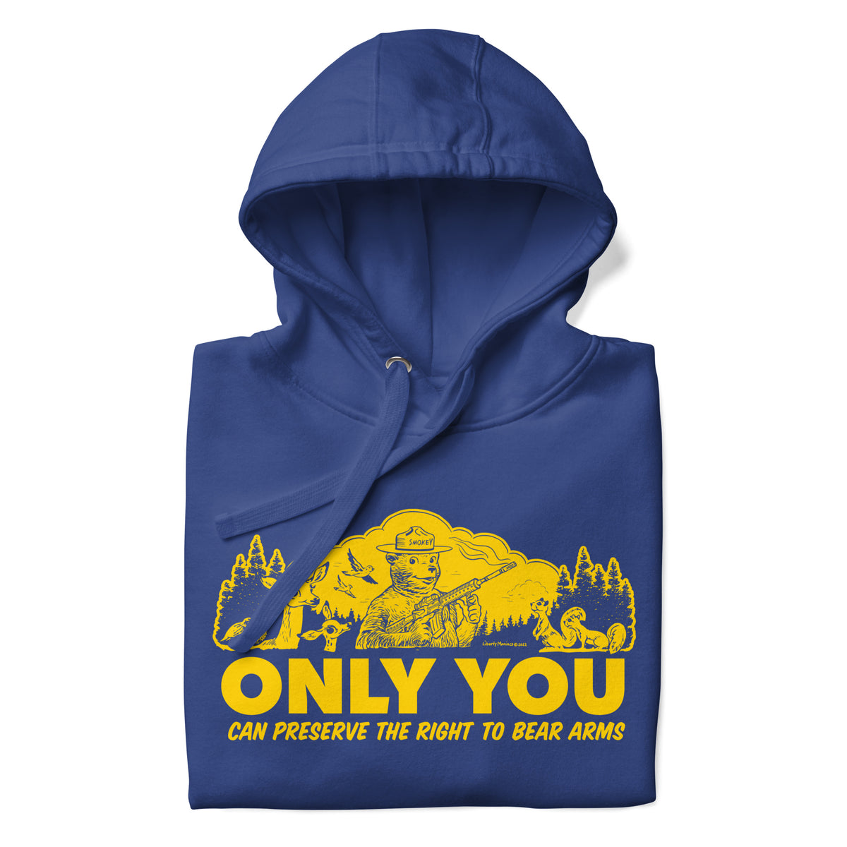 Only You Can Protect the Right to Bear Arms Hoodie Sweatshirt