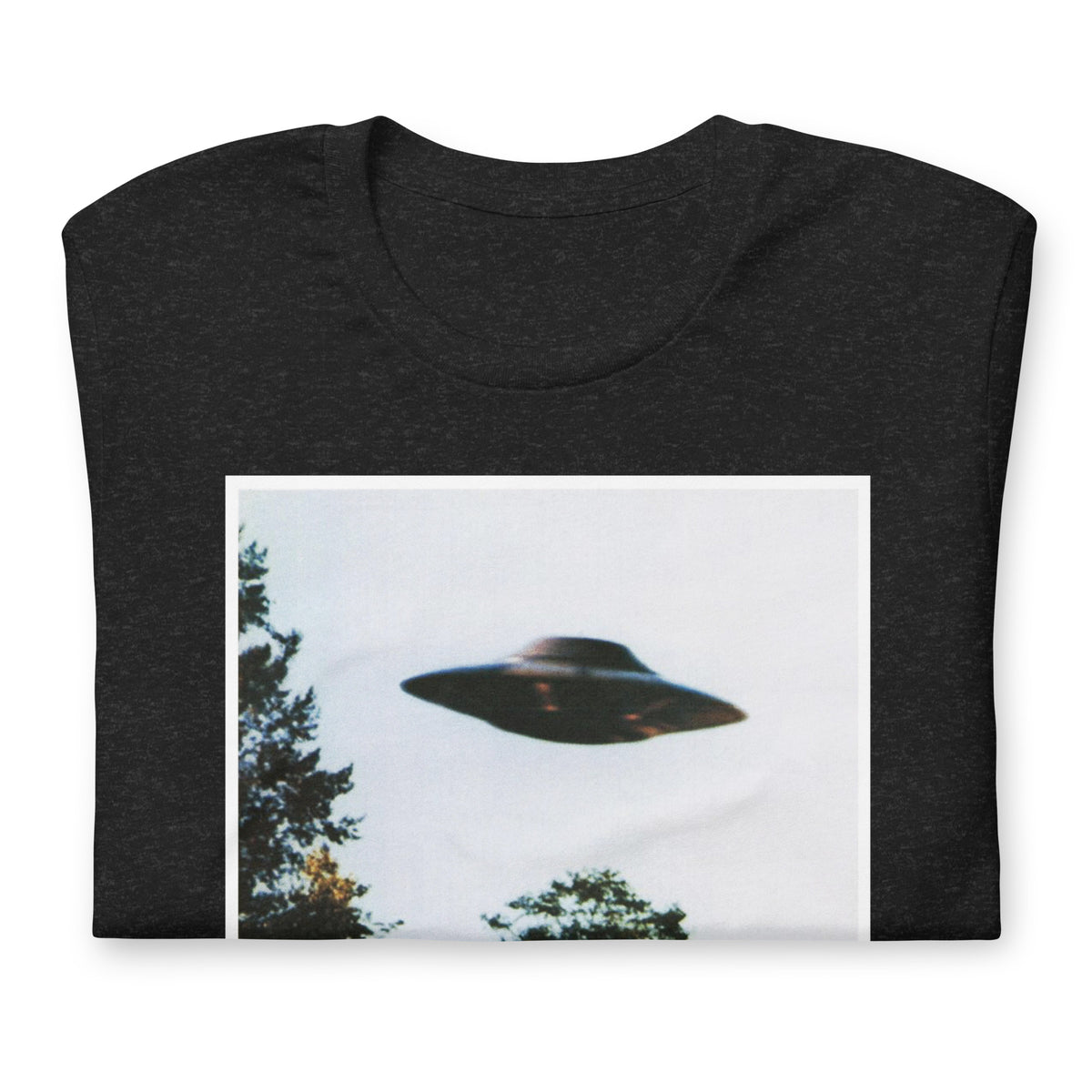 I Want To Believe But It&#39;s Probably the Government T-Shirt