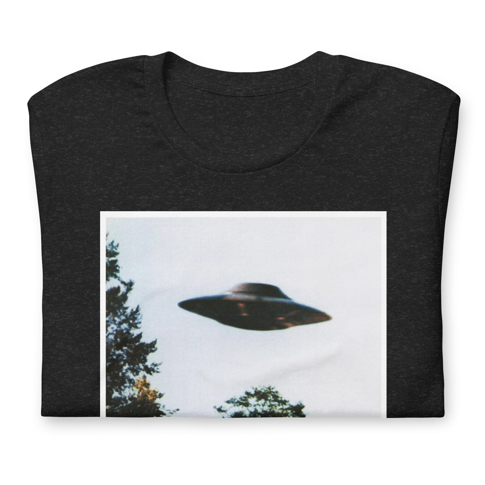 I Want To Believe But It's Probably the Government T-Shirt