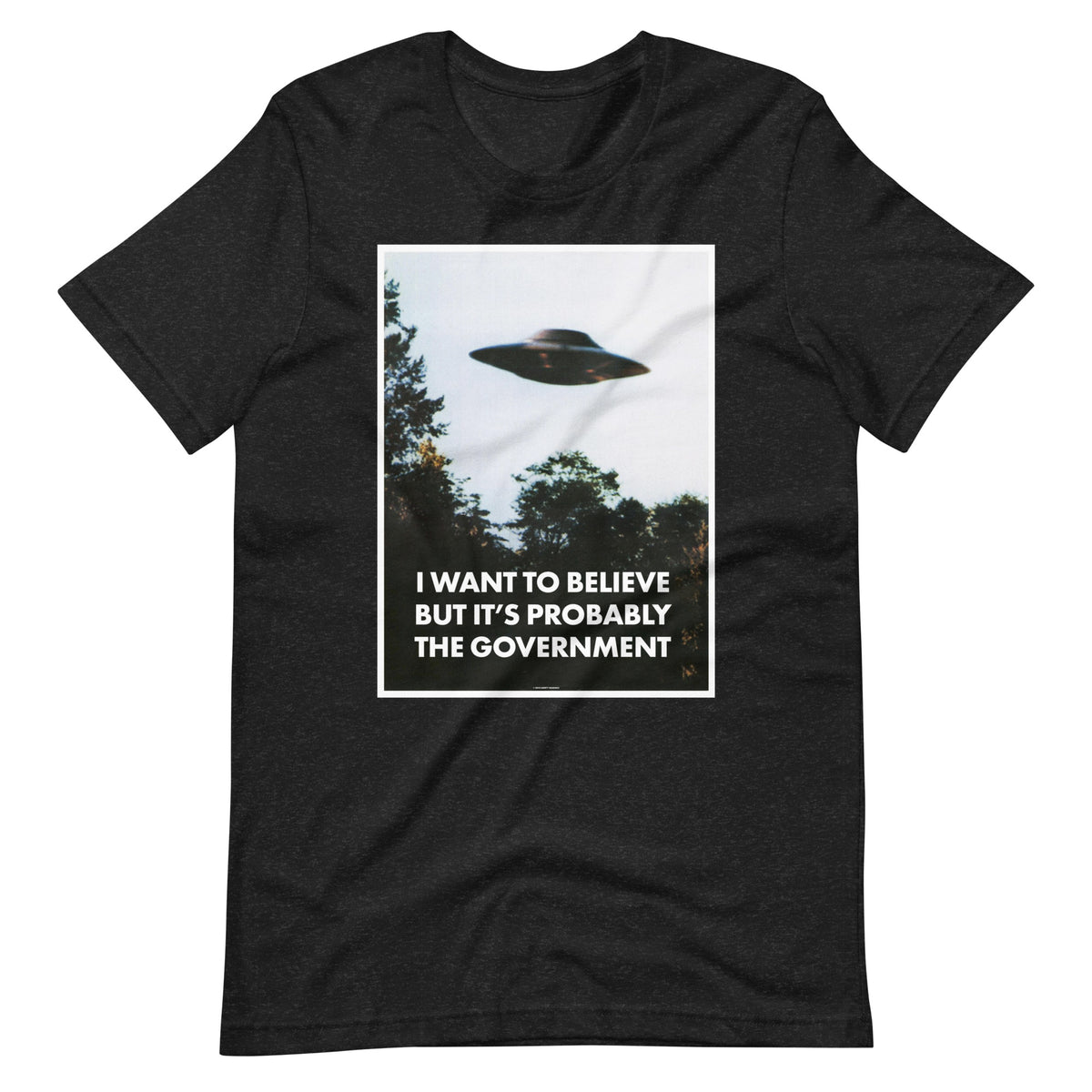 I Want To Believe But It&#39;s Probably the Government T-Shirt
