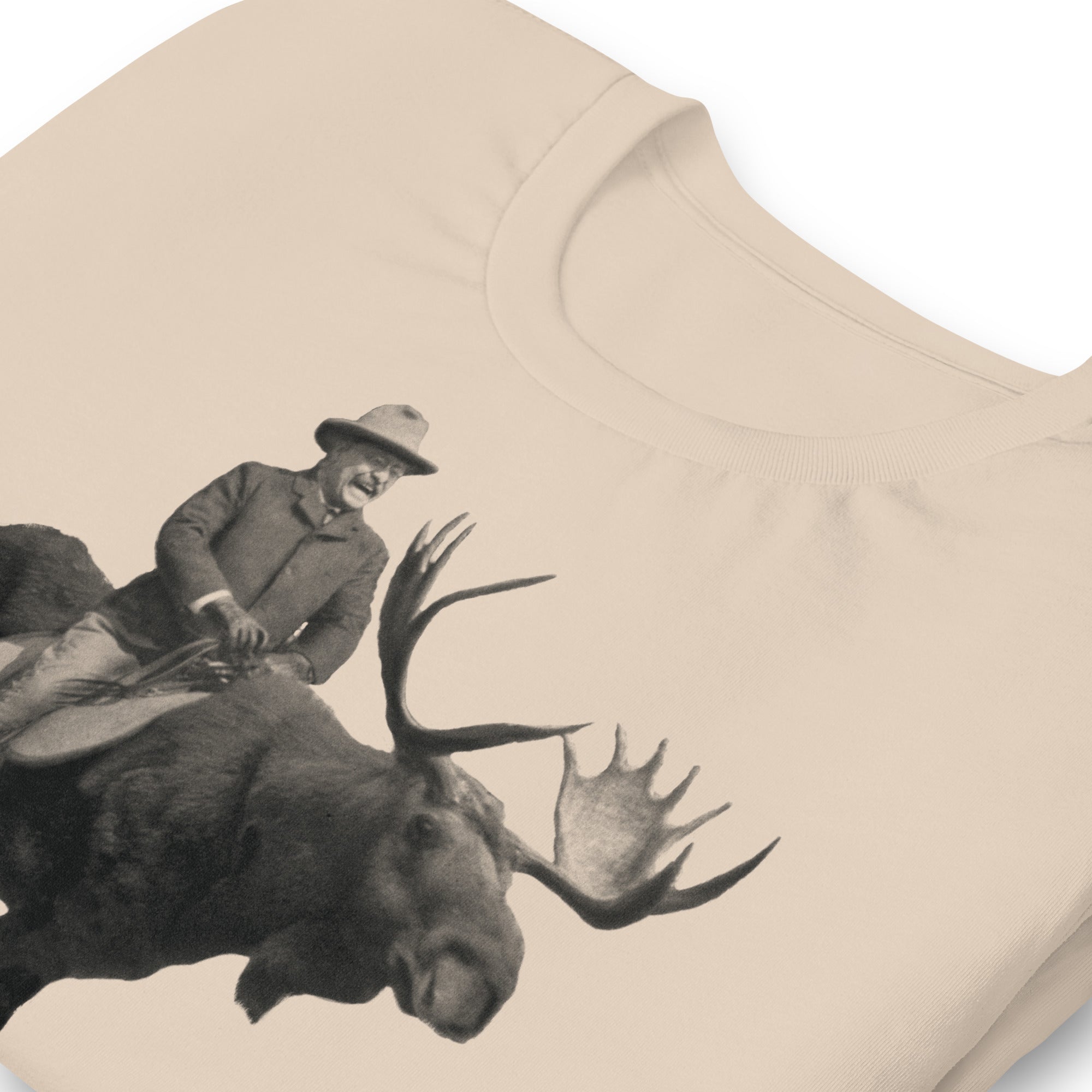Teddy Roosevelt Bullmoose Men's T-Shirts
