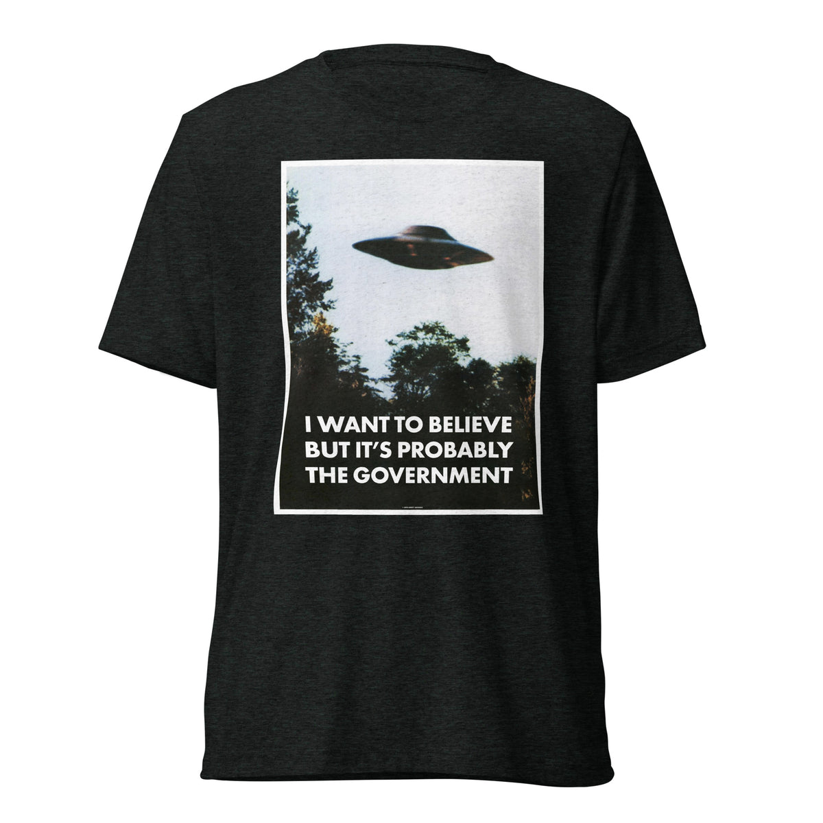 I Want To Believe But It&#39;s Probably the Government Tri-blend T-shirt