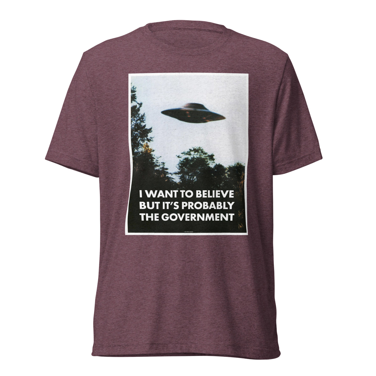 I Want To Believe But It&#39;s Probably the Government Tri-blend T-shirt